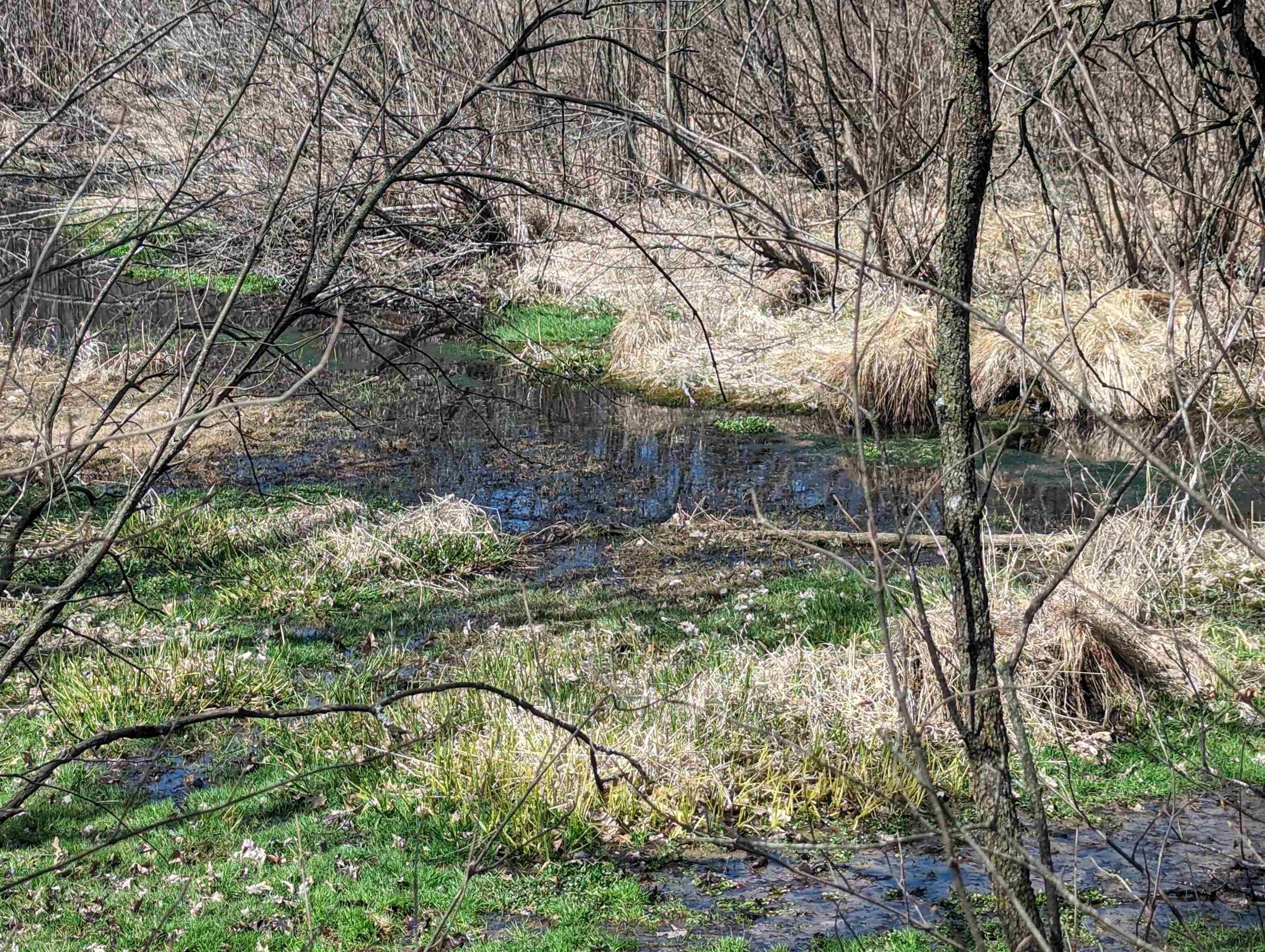 Wisconsin Dells, Adams County, WI Undeveloped Land, Lakefront Property