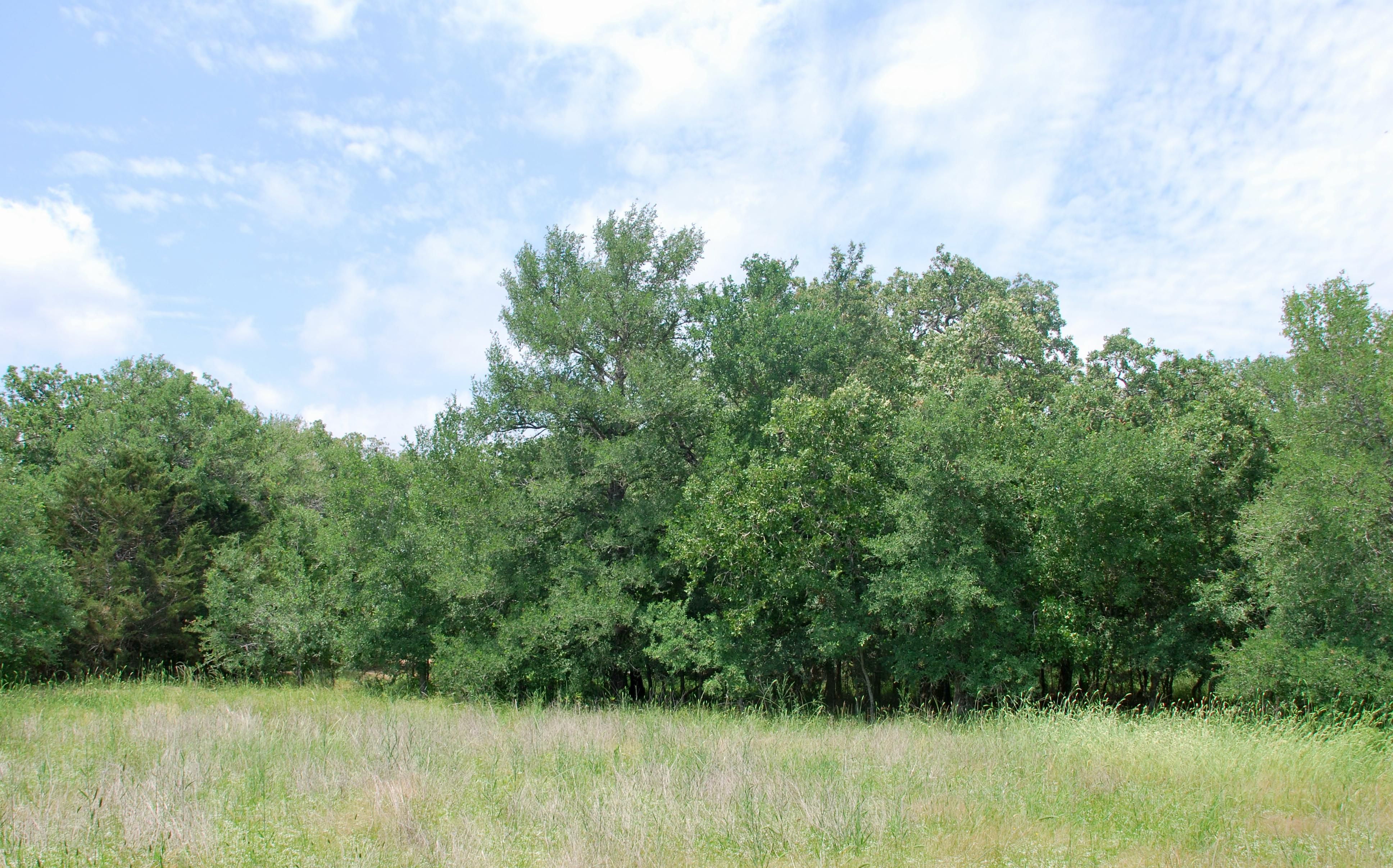 3162 County Road 397, Moulton, TX 77975 MLS 83446898 LandWatch
