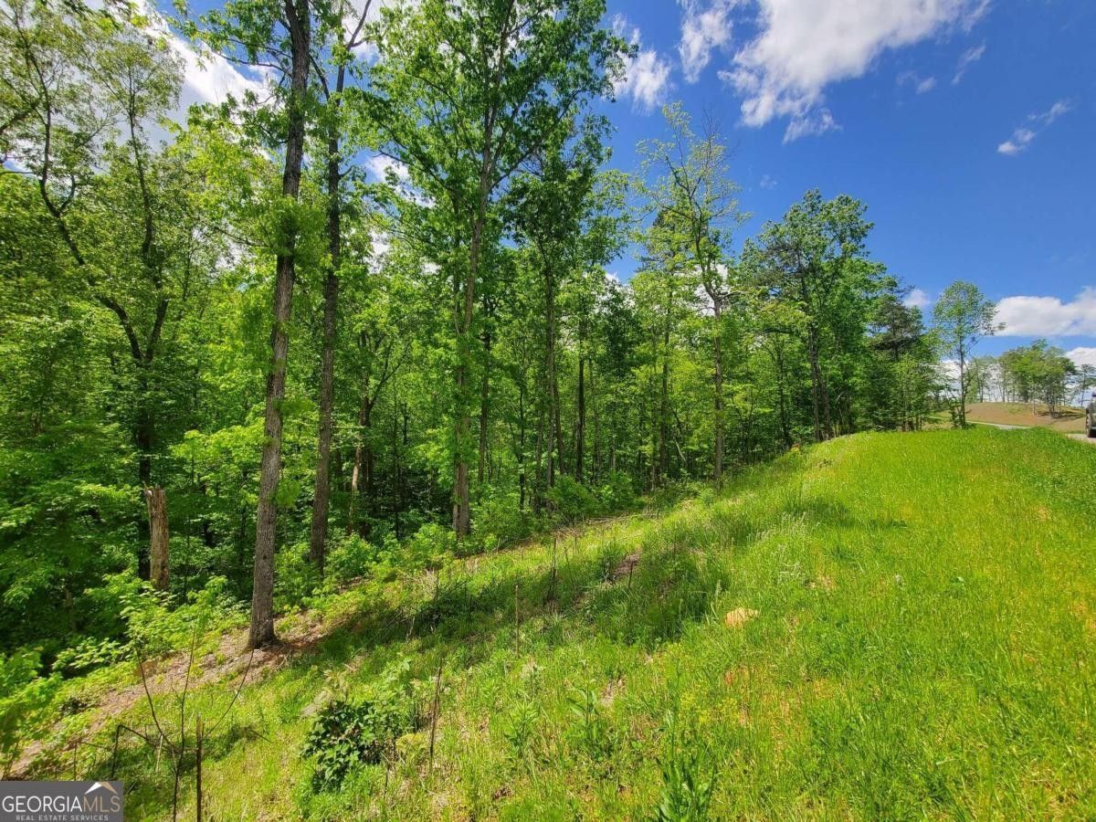 Ellijay, Gilmer County, GA Undeveloped Land, Homesites for sale