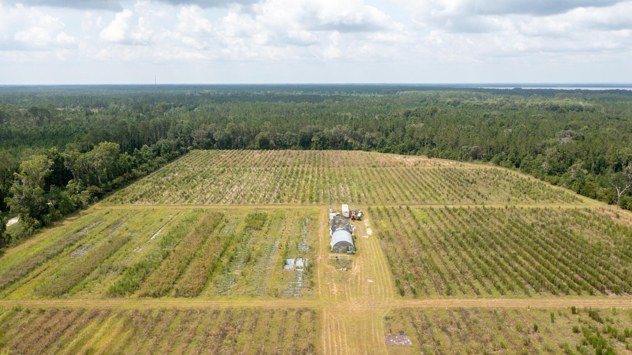 12436 SE 225th Dr, Hawthorne, FL 32640 | MLS: Expansive 23.52 acre farm