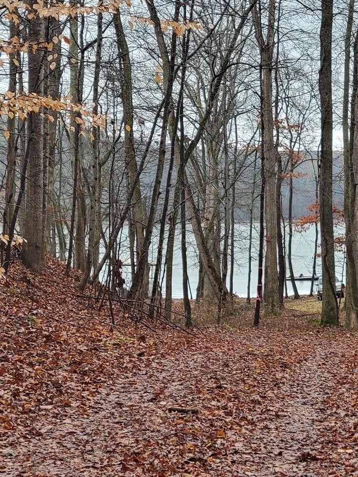 Dover, Stewart County, TN Lakefront Property, Waterfront Property