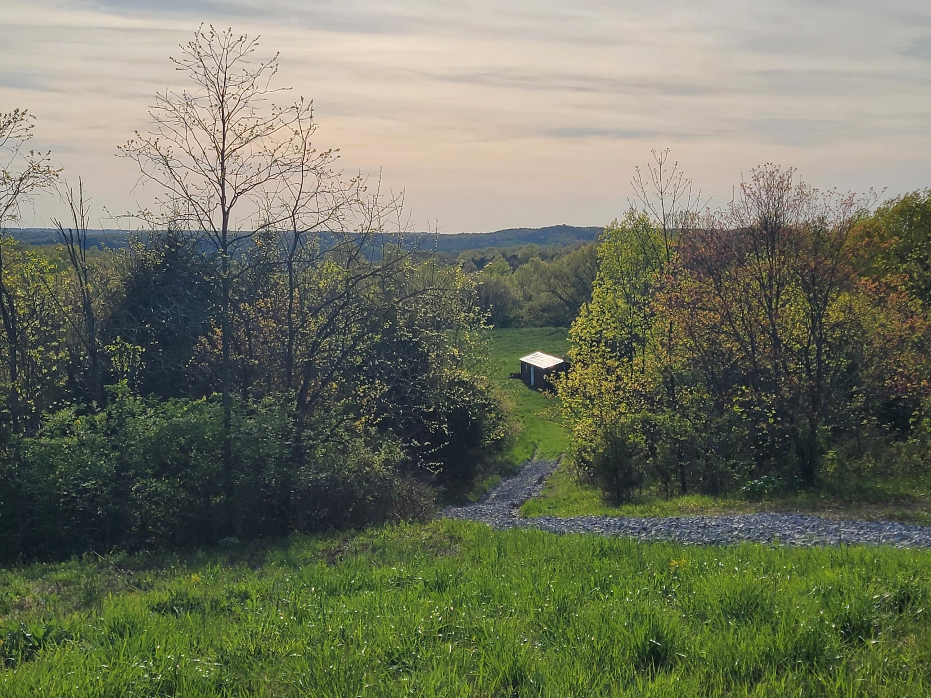 2603 McDowell Road, Cynthiana, KY 41031 MLS 24007820 LandWatch