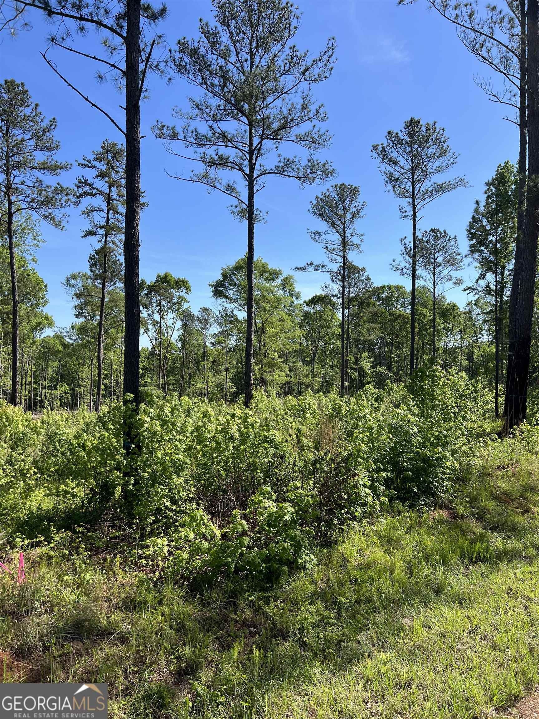 Forsyth, Monroe County, GA Undeveloped Land for sale Property ID