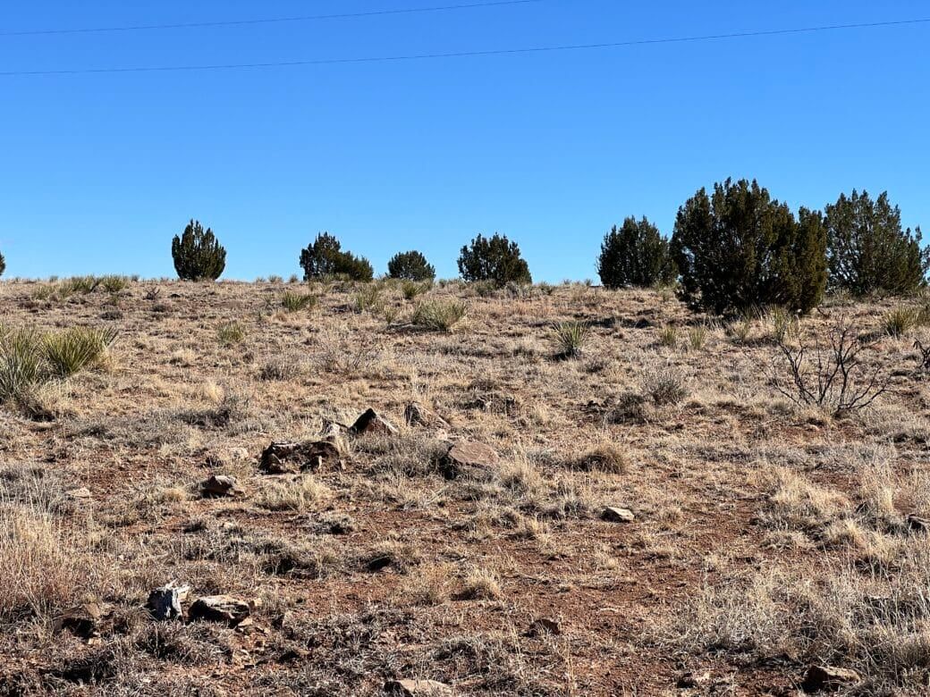 Conchas, San Miguel County, NM Recreational Property, Homesites for