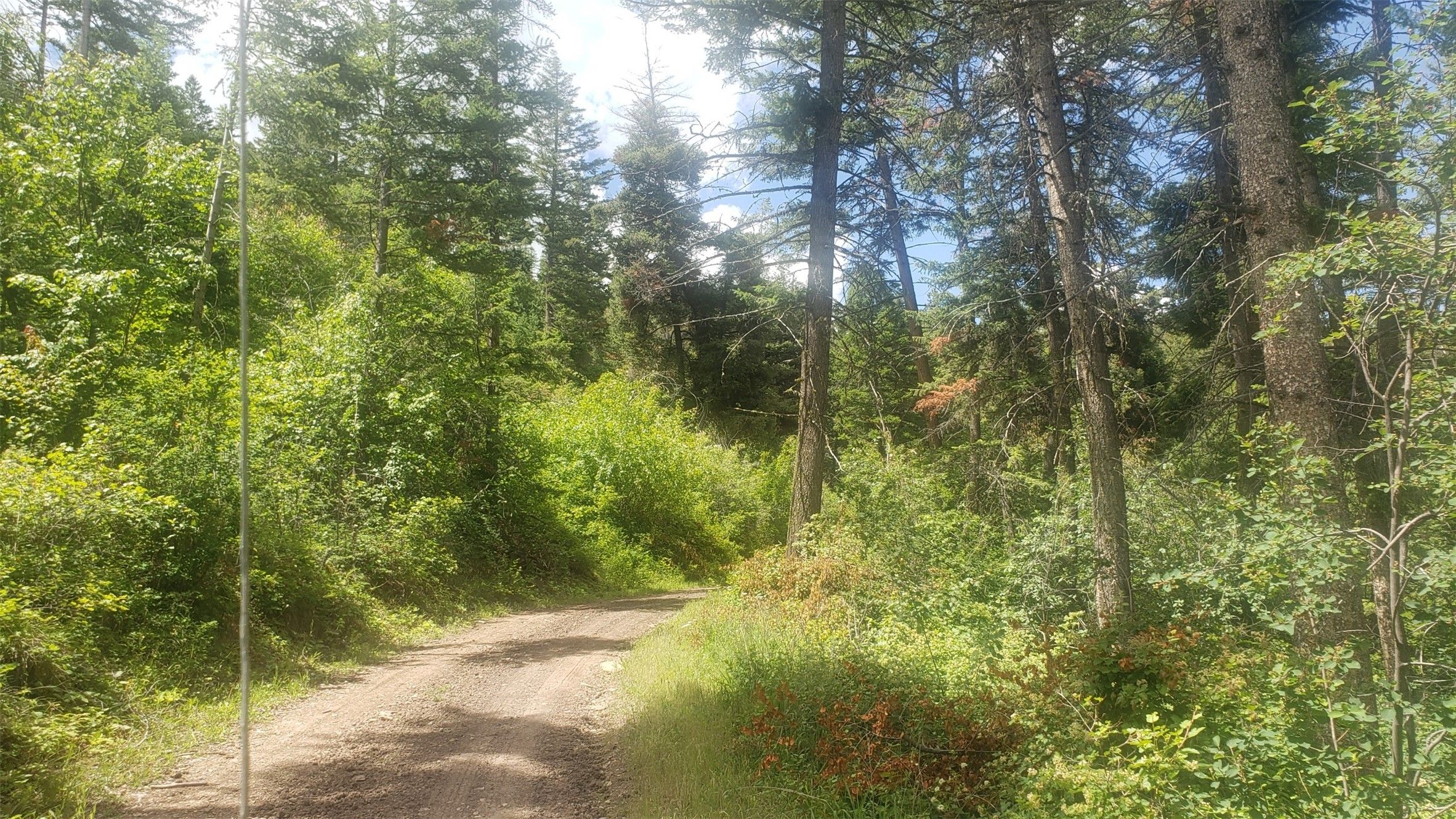 Lot 20 Arlee Pines, Arlee, MT 59821 MLS 30008360 LandWatch