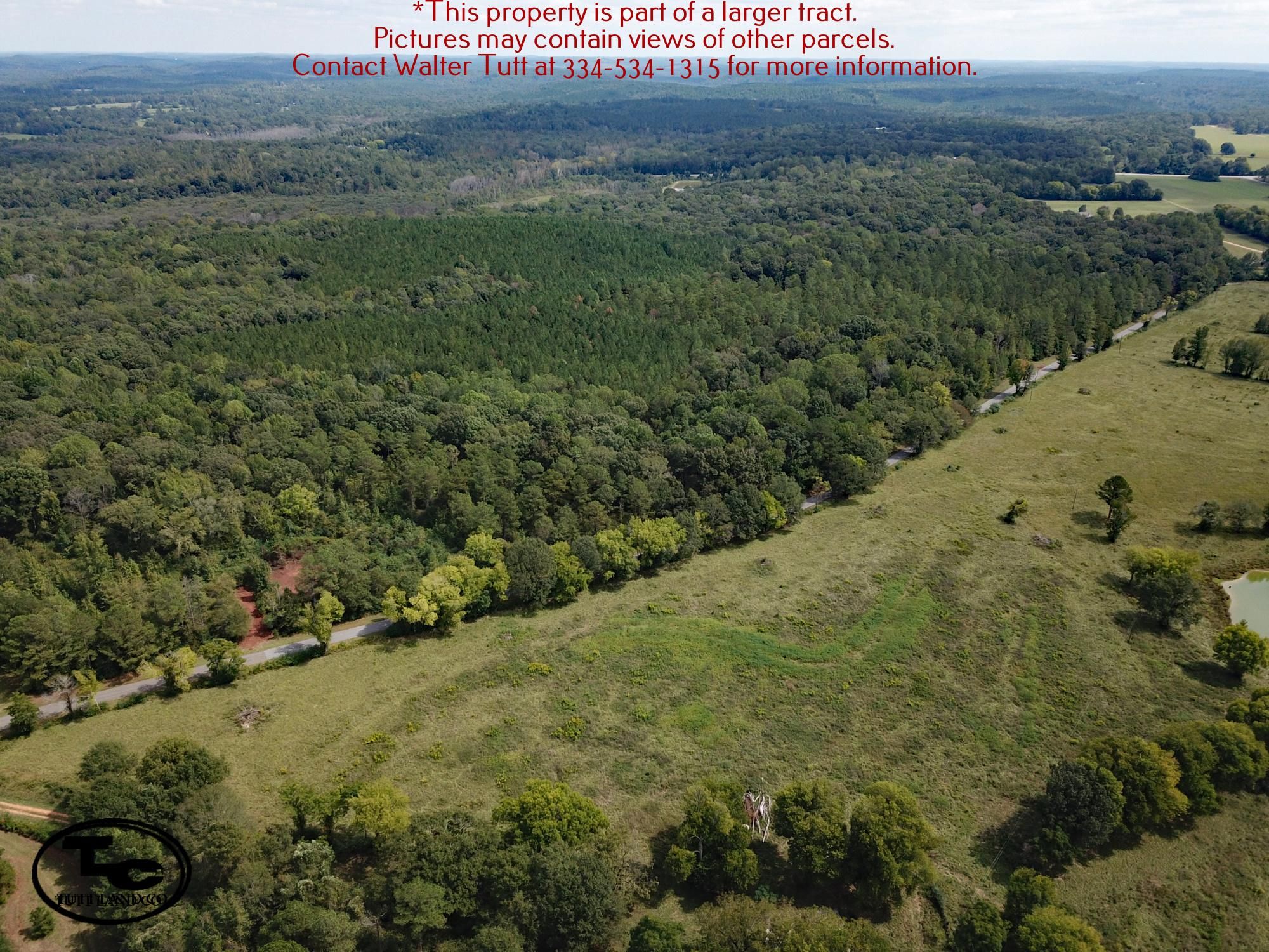 79 acres in Moundville, AL, 35474 LandWatch