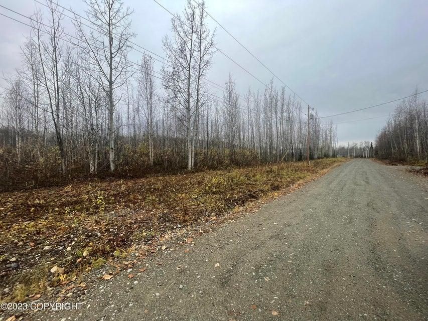 13668 W Klondike Drive, Wasilla, AK 99654 MLS 2314361 LandWatch