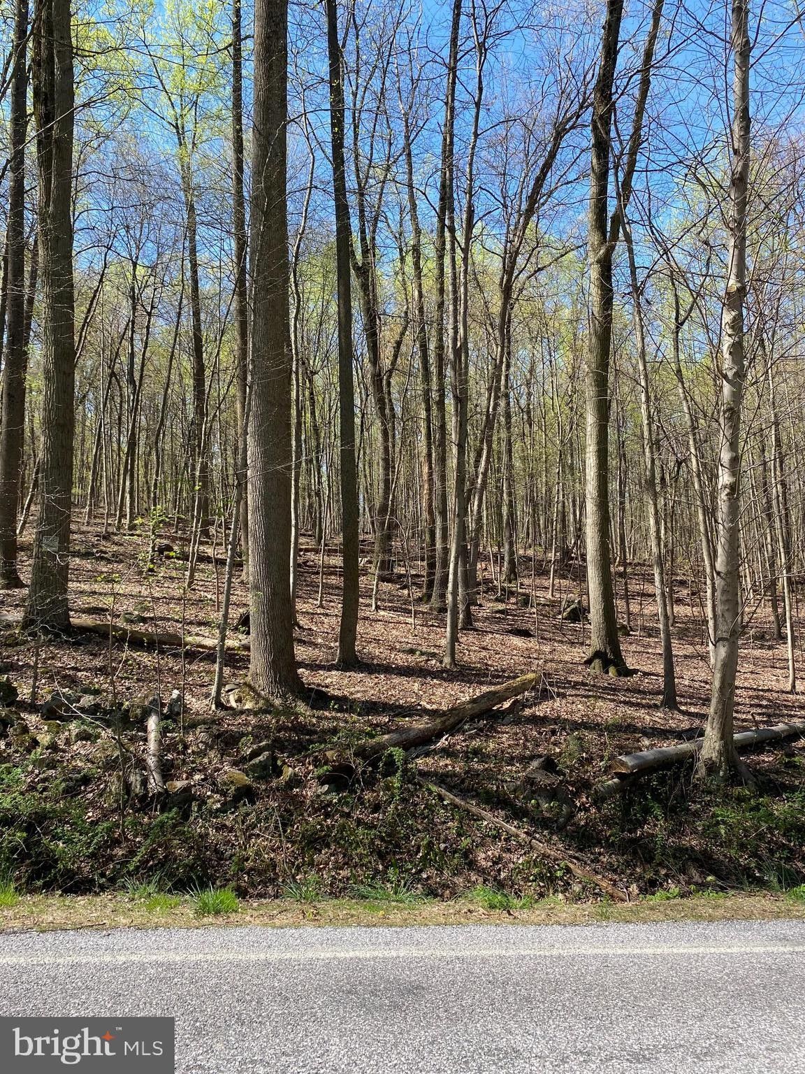 Proposed Lot D2 POTTS HILL ROAD, Goldsboro, PA 17319 MLS