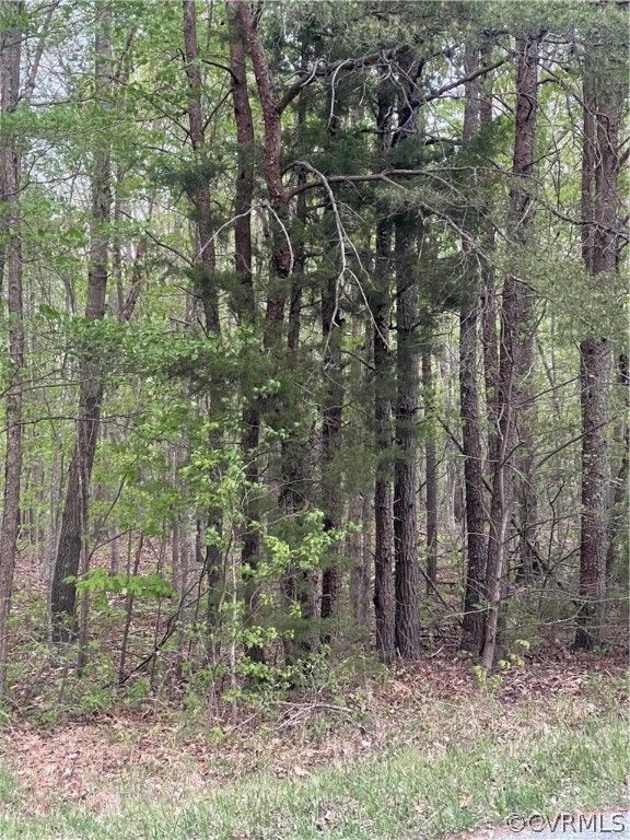 Buckingham, Buckingham County, VA Undeveloped Land for sale Property ID