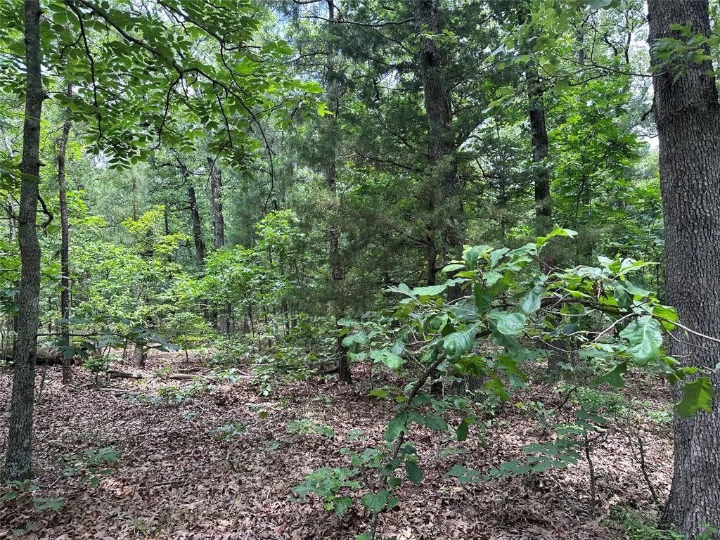 Tbd County Road 2131, Detroit, TX 75436 MLS 20597269 LandWatch