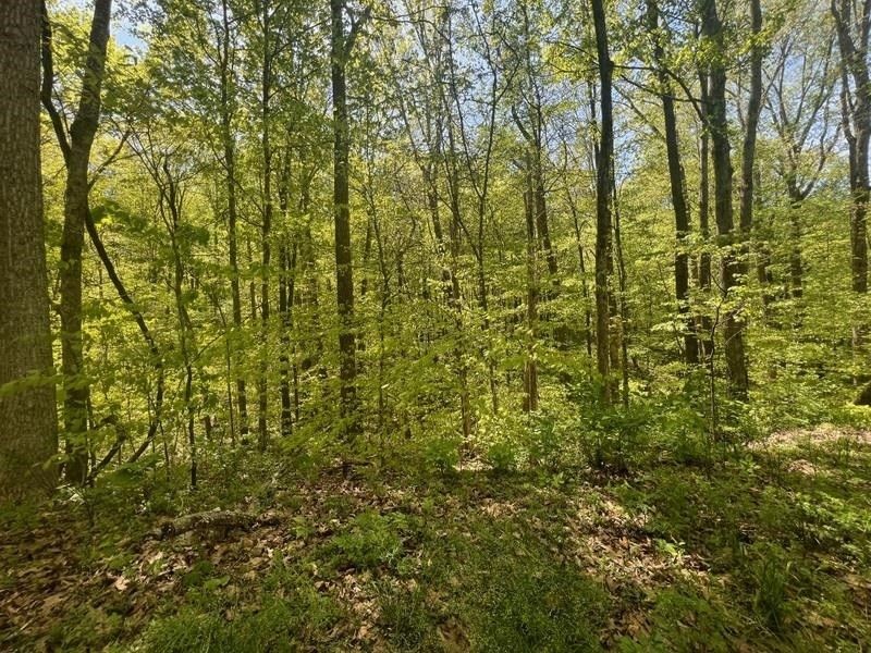 Fountain Run, Barren County, KY Undeveloped Land, Homesites for sale