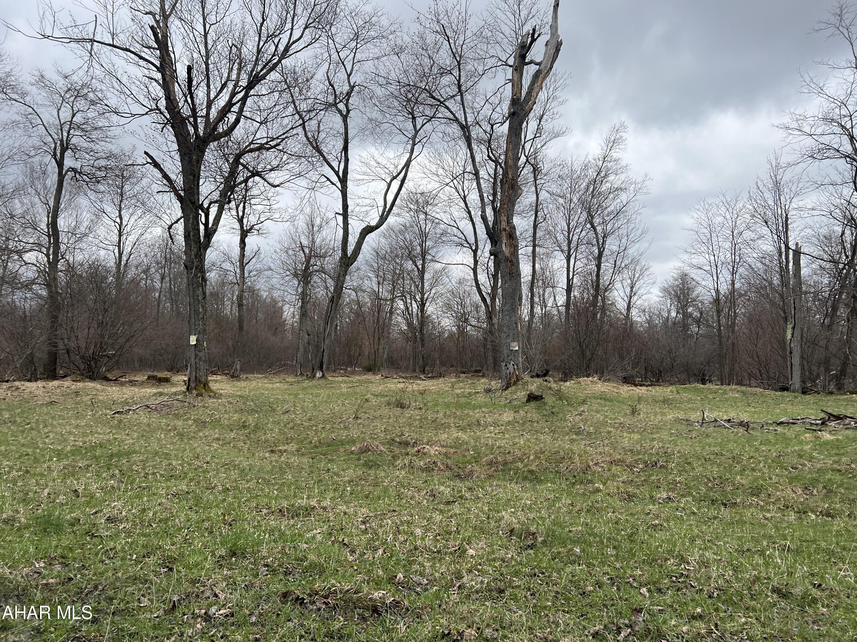 0 Crystal Springs Road, Penfield, PA 15849 MLS 74504 LandWatch