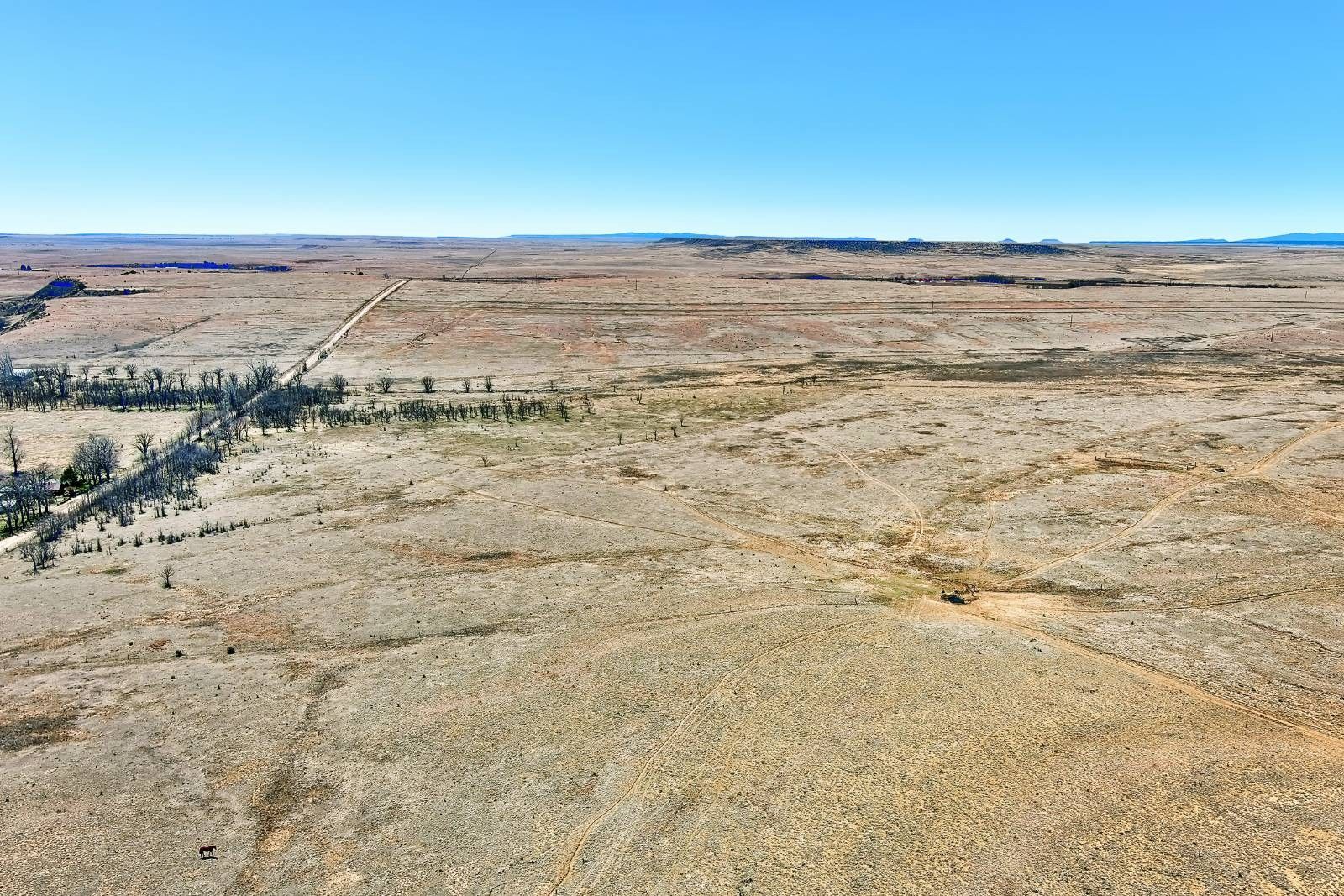 Abbott, Colfax County, NM Undeveloped Land for sale Property ID