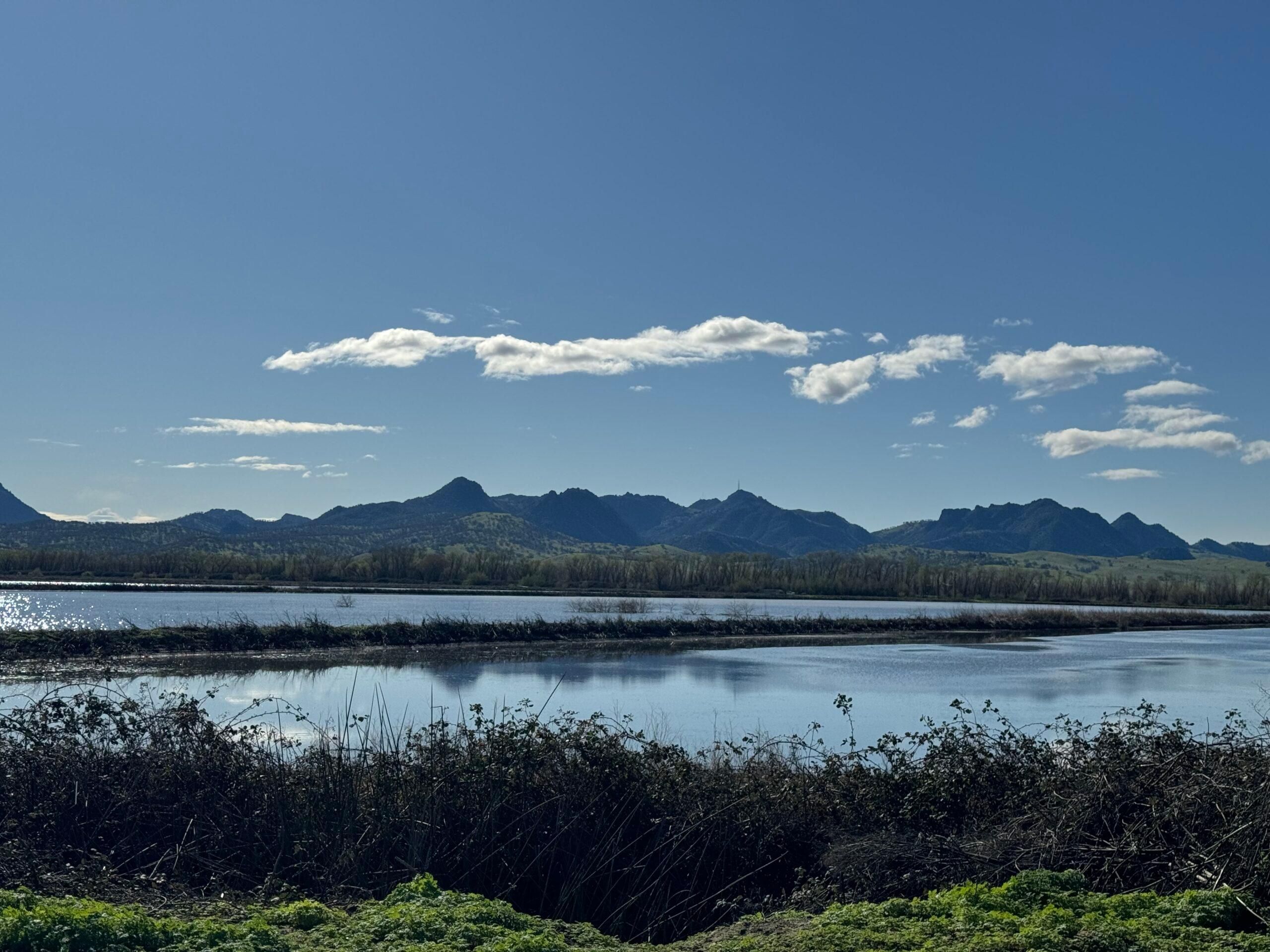 Live Oak, Sutter County, CA Farms and Ranches, Recreational Property for sale Property ID