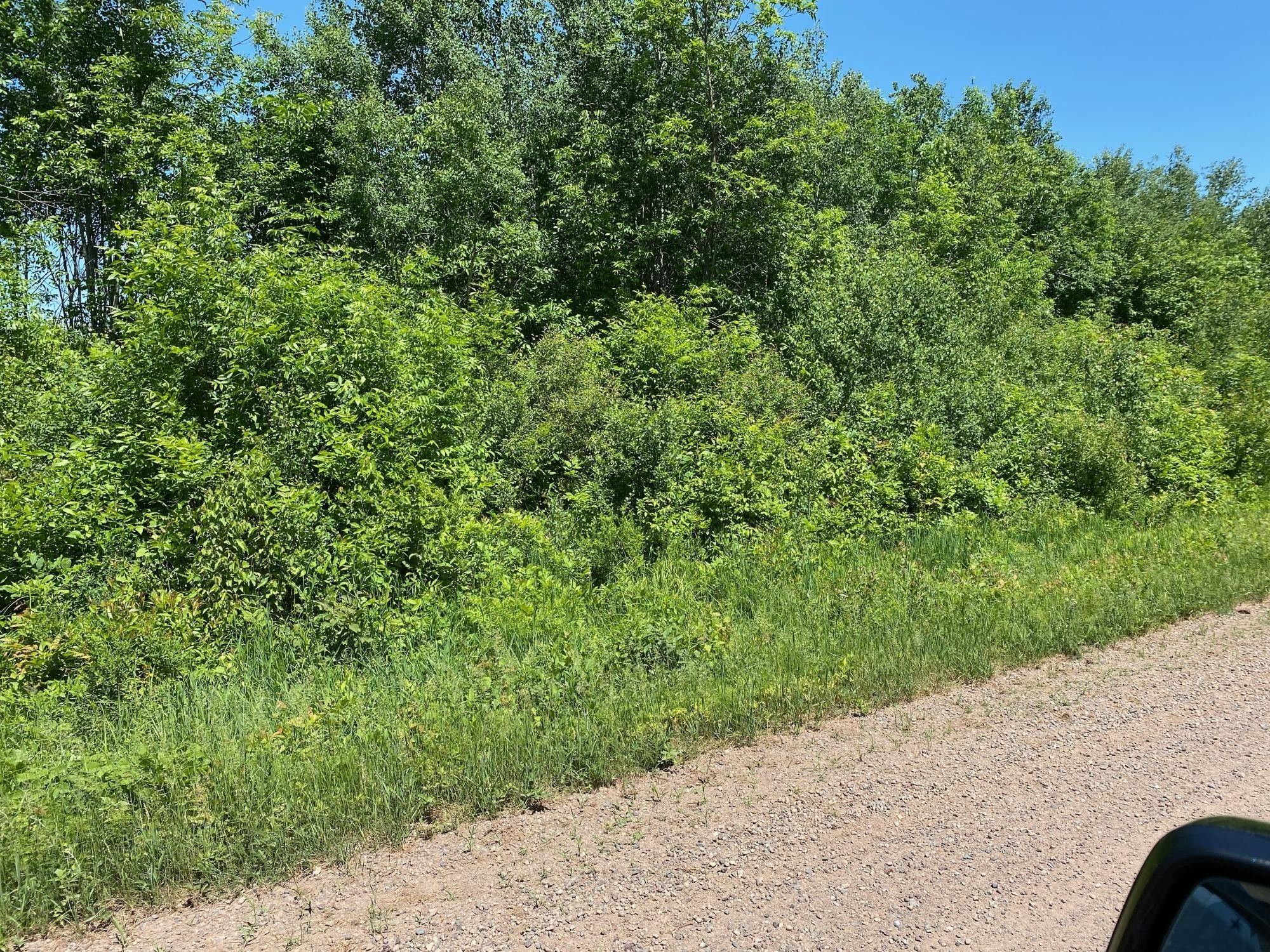 80 Ac MOONSHINE ALLEY, Catawba, WI 54515 MLS 206417 LandWatch