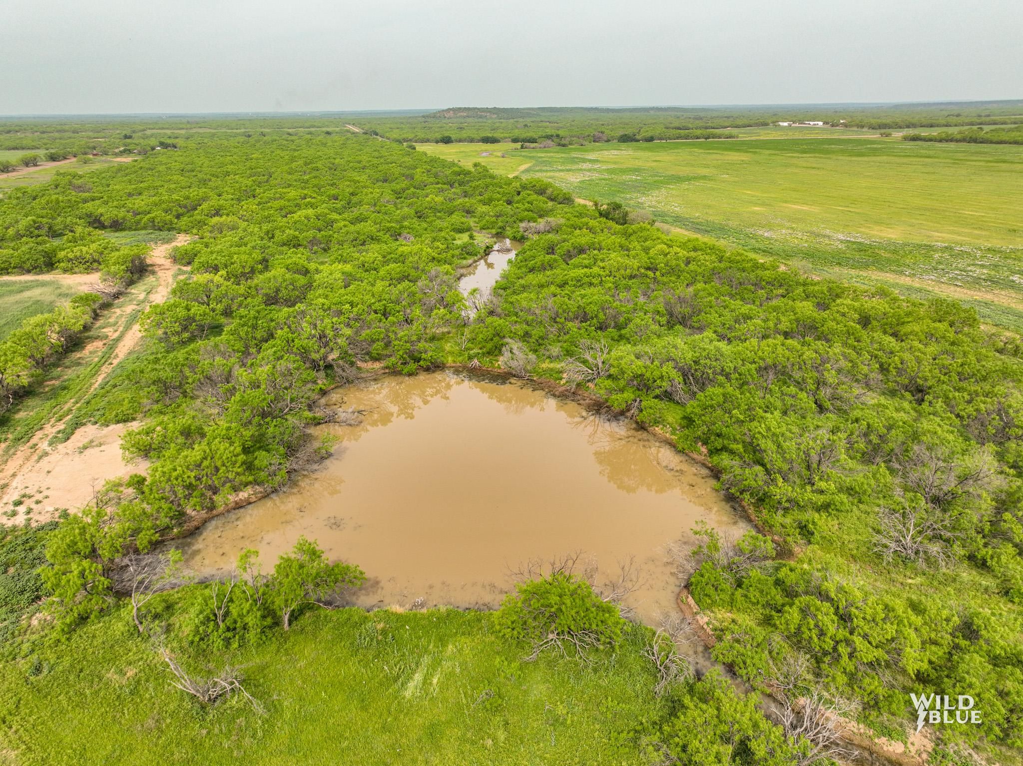 Breckenridge, Stephens County, TX Recreational Property, Hunting