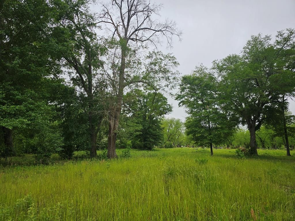 2396 Shady Rd, Baconton, GA 31716 MLS 161602 LandWatch