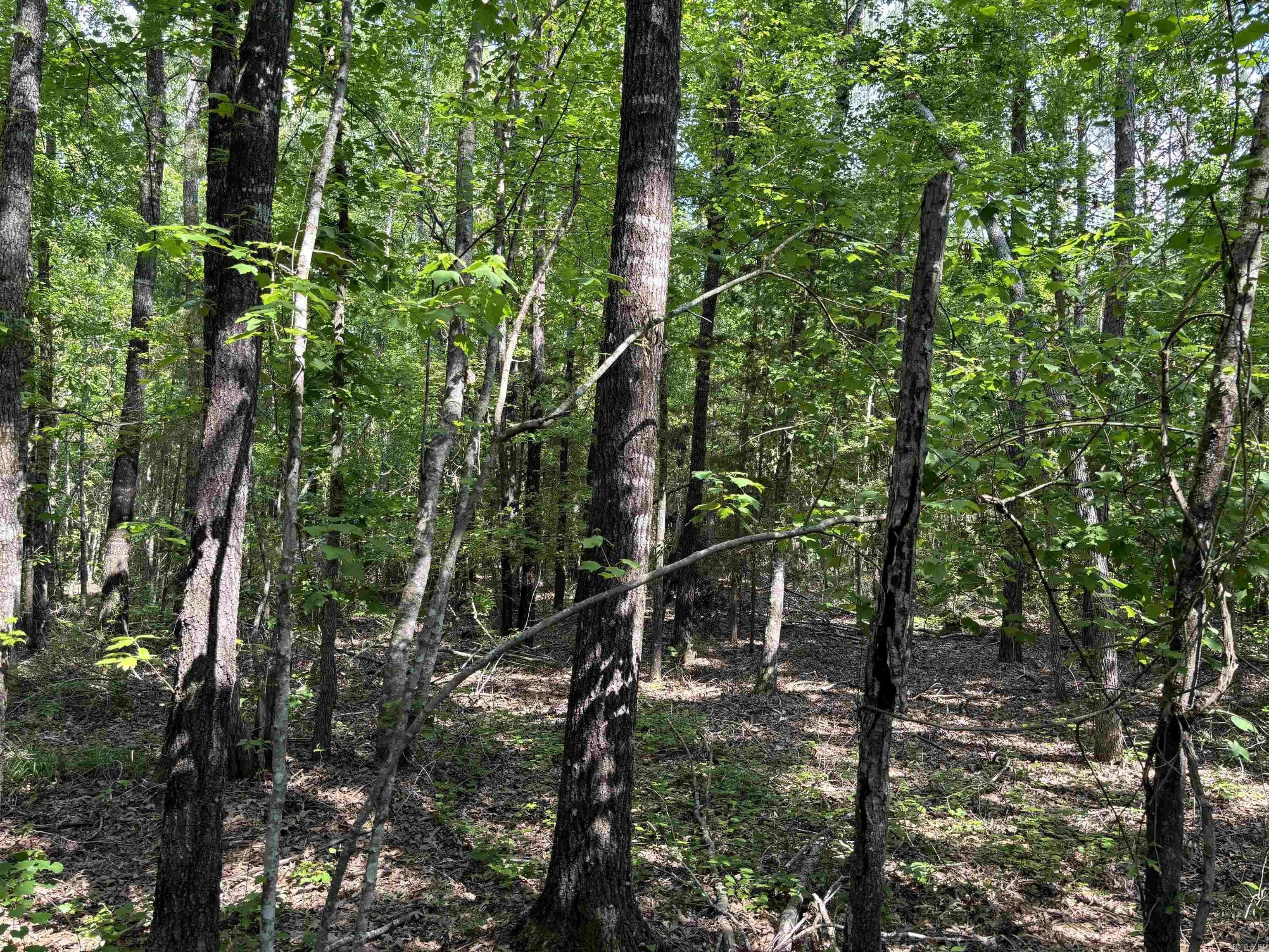 Miller County 155 Road, Doddridge, AR 71834 MLS 24014151 LandWatch