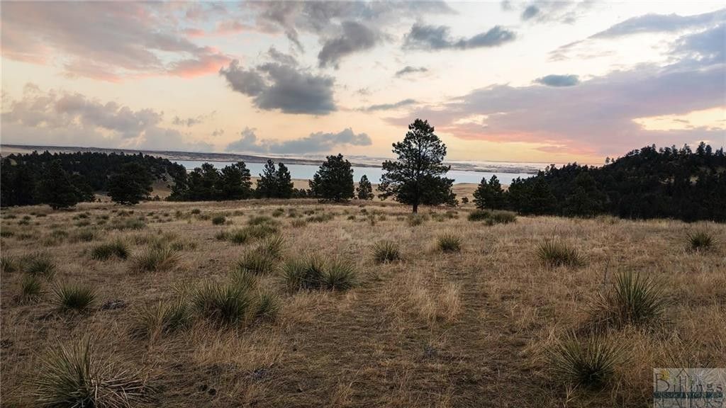 Shawmut, Wheatland County, MT Undeveloped Land for sale Property ID