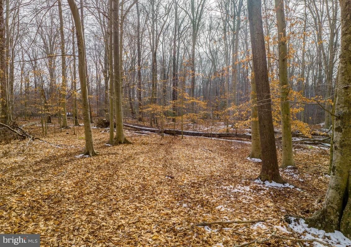 9015 MITCHELL ROAD, La Plata, MD 20646 MLS MDCH2031978 LandWatch