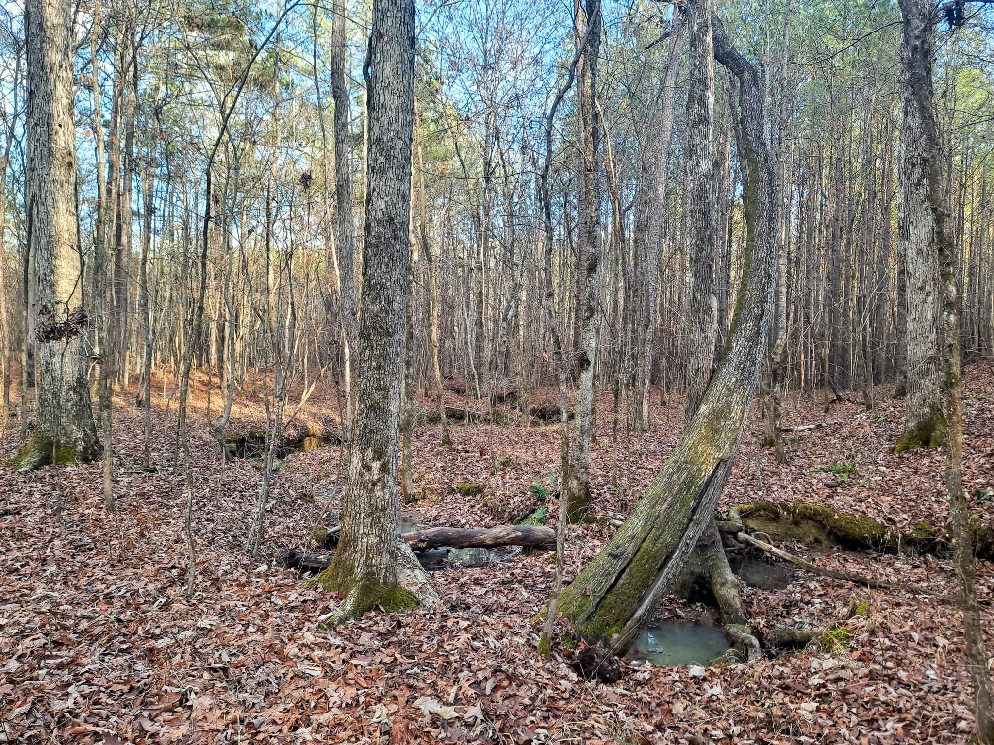 Alabama 102, Townley, AL 35587 LandWatch