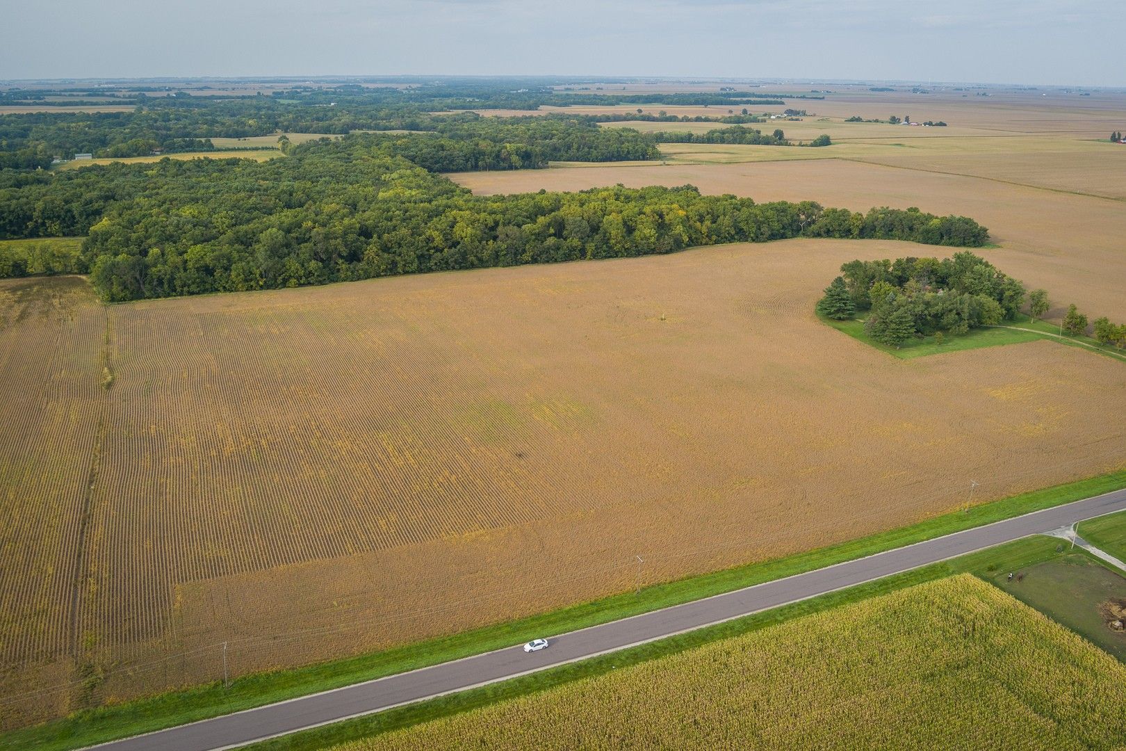 De Witt, DeWitt County, IL Farms and Ranches for sale Property ID