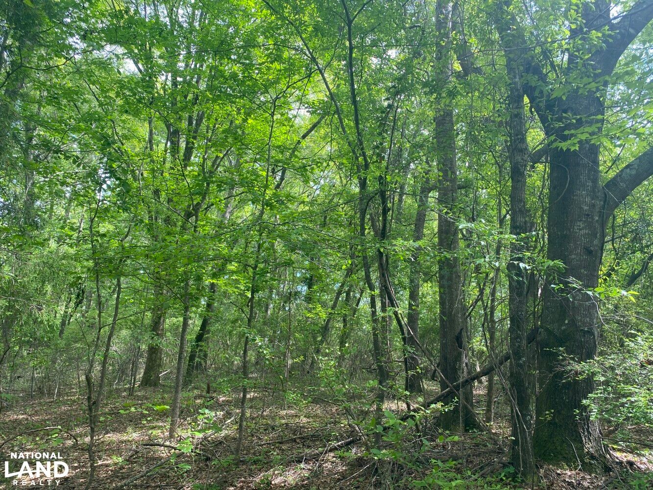 00 W Hickory Grove Rd, Lapine, AL 36046 LandWatch
