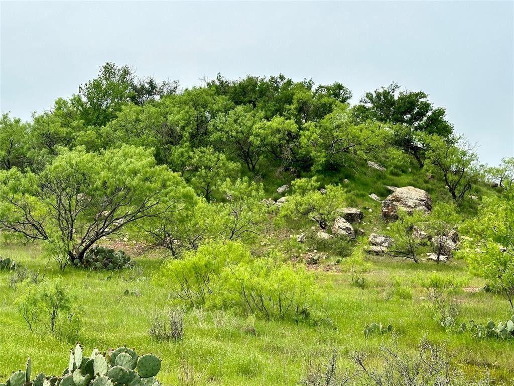 Henrietta, Jack County, TX Farms and Ranches for sale Property ID