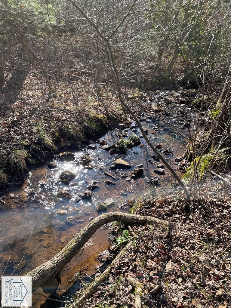 Woolwine, Patrick County, VA Undeveloped Land, Homesites for sale