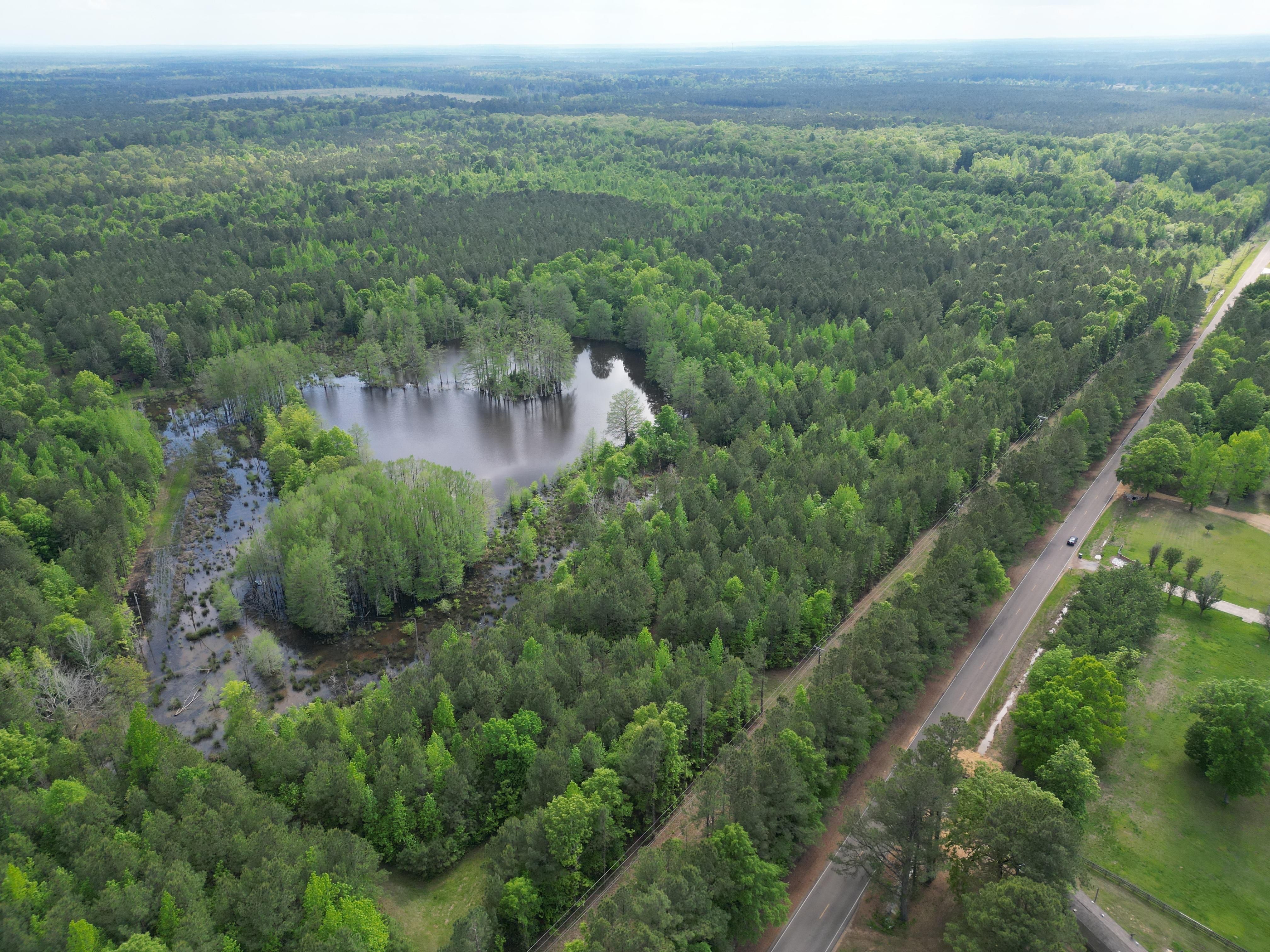 Starkville, Oktibbeha County, MS Recreational Property, Undeveloped