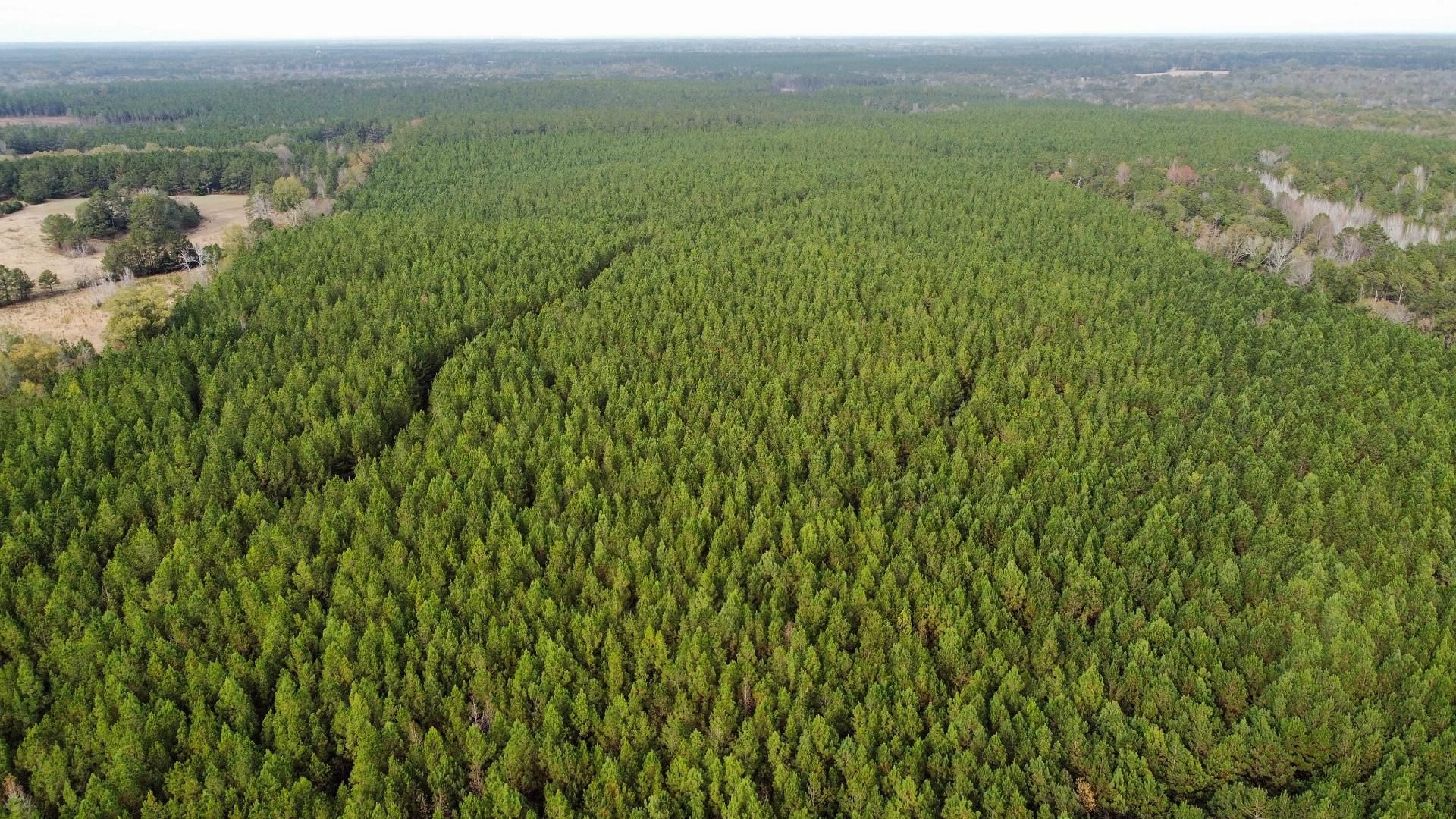 Troy Hwy, Montgomery, AL 36052 LandWatch