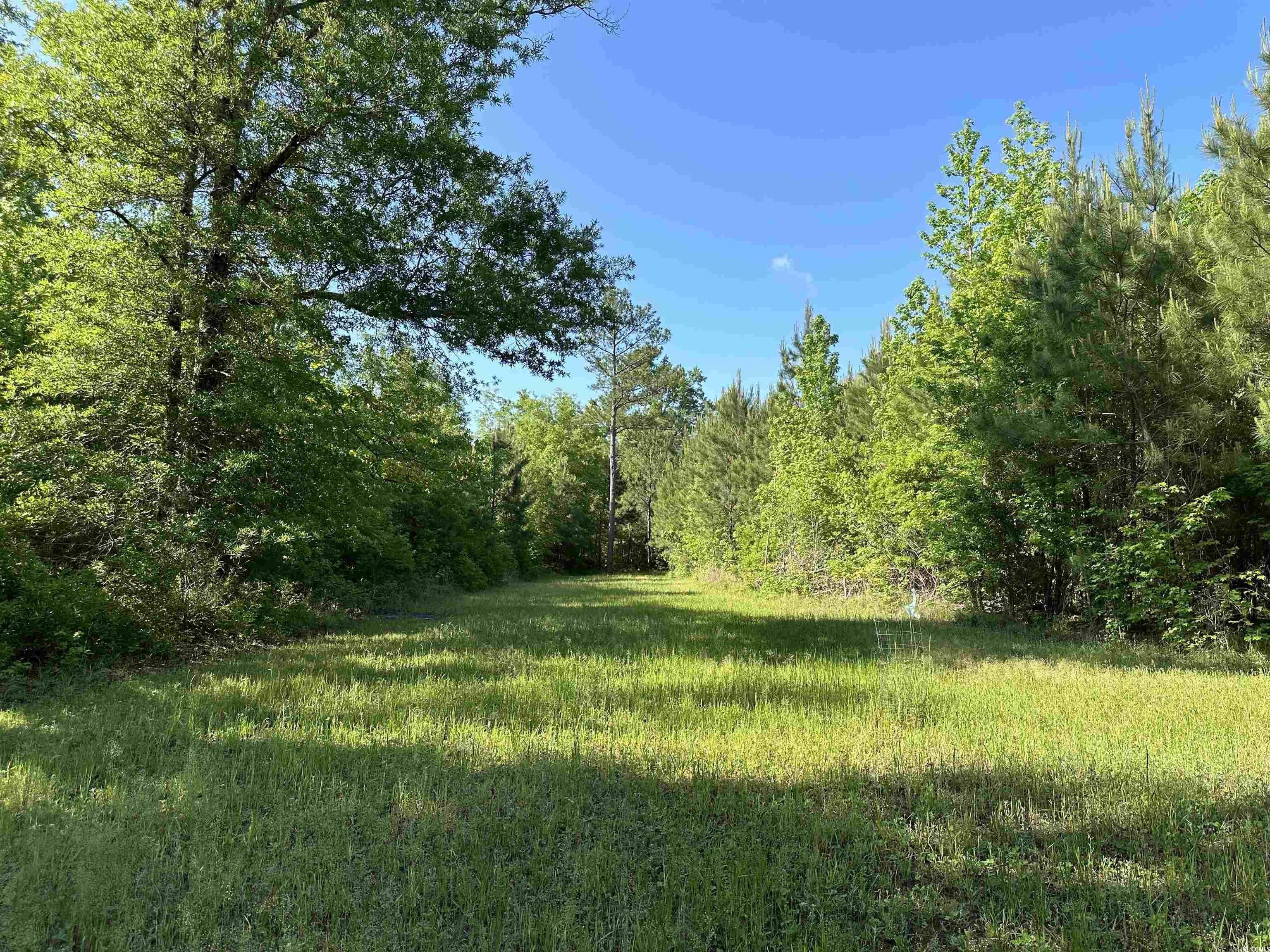 Greeleyville, Williamsburg County, SC Undeveloped Land for sale