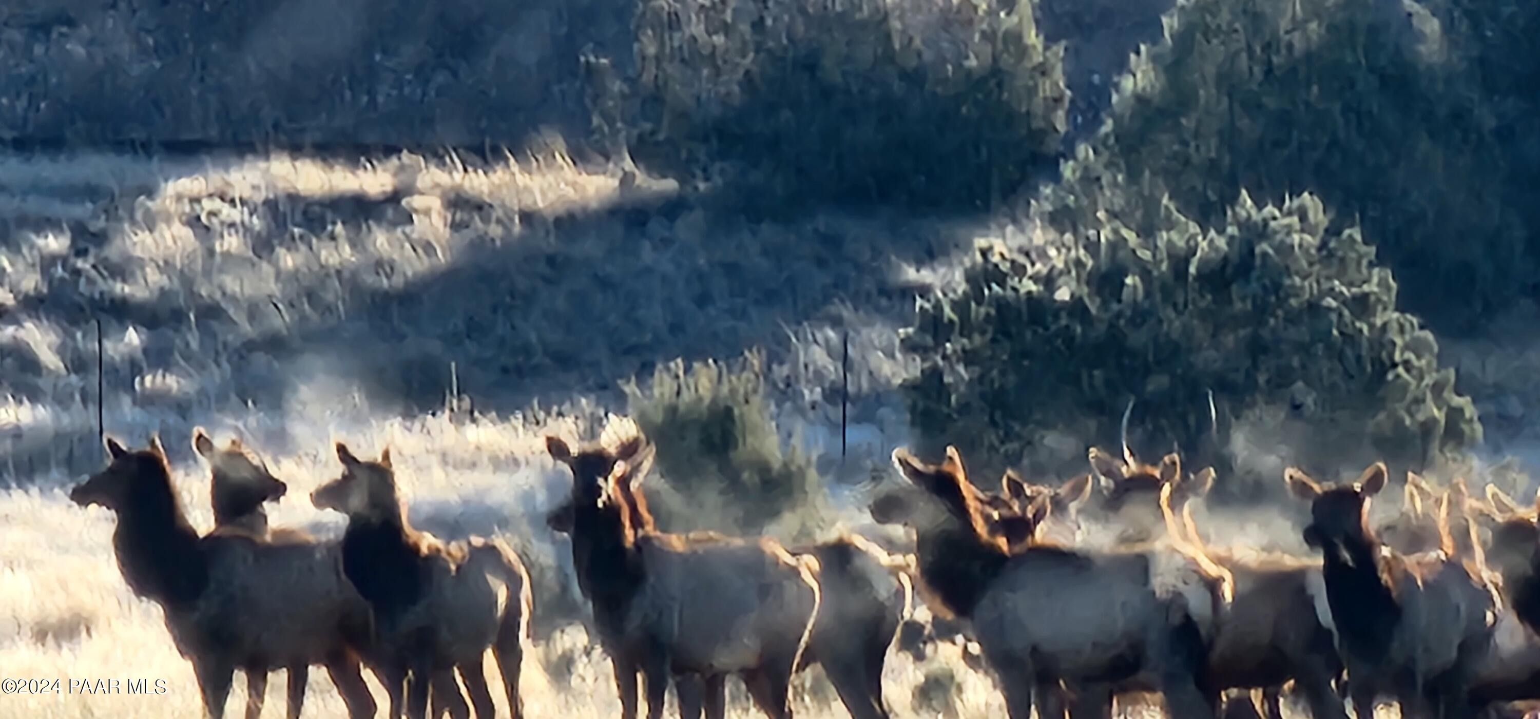 194 Westwood Ranch, Ash Fork, AZ 86320 MLS 1064048 LandWatch