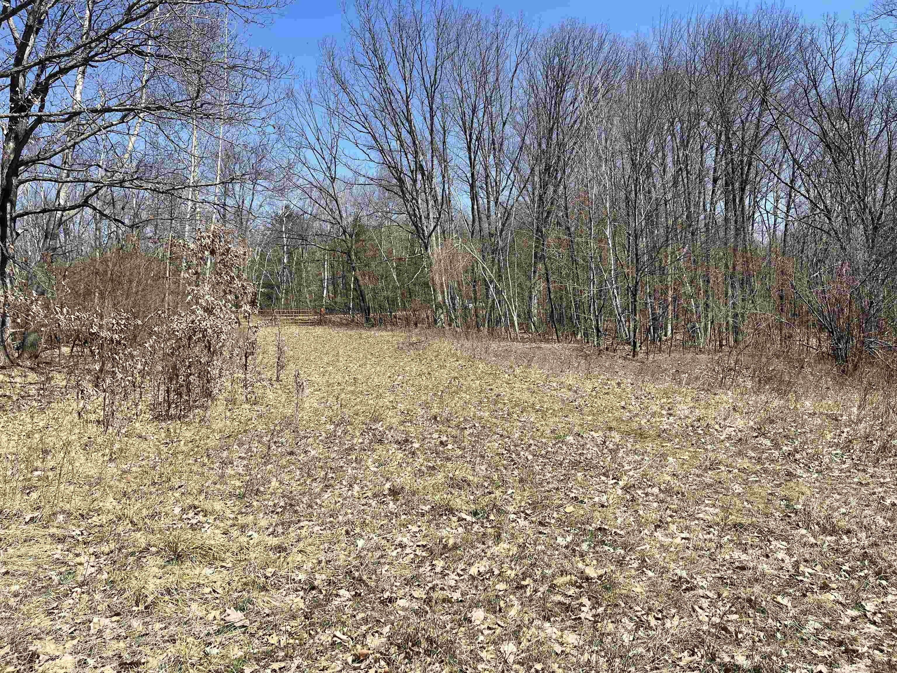 Parcel 0400053b Cary Rock Drive, Pittsville, WI 54466 MLS 1975974