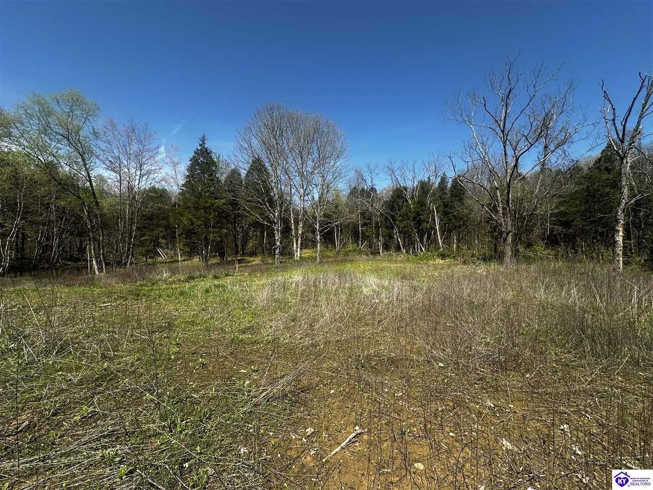 Road, Payneville, KY 40157 MLS HK24001542 LandWatch