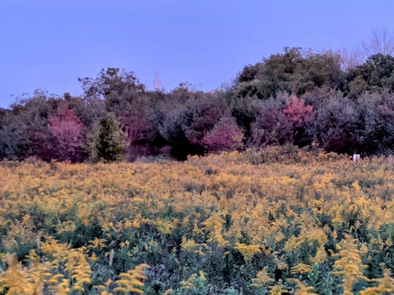 Brookville, Franklin County, IN Undeveloped Land, Homesites for sale Property ID 419582871