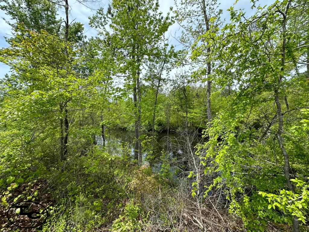 Jasper, Walker County, AL Farms and Ranches, Recreational Property