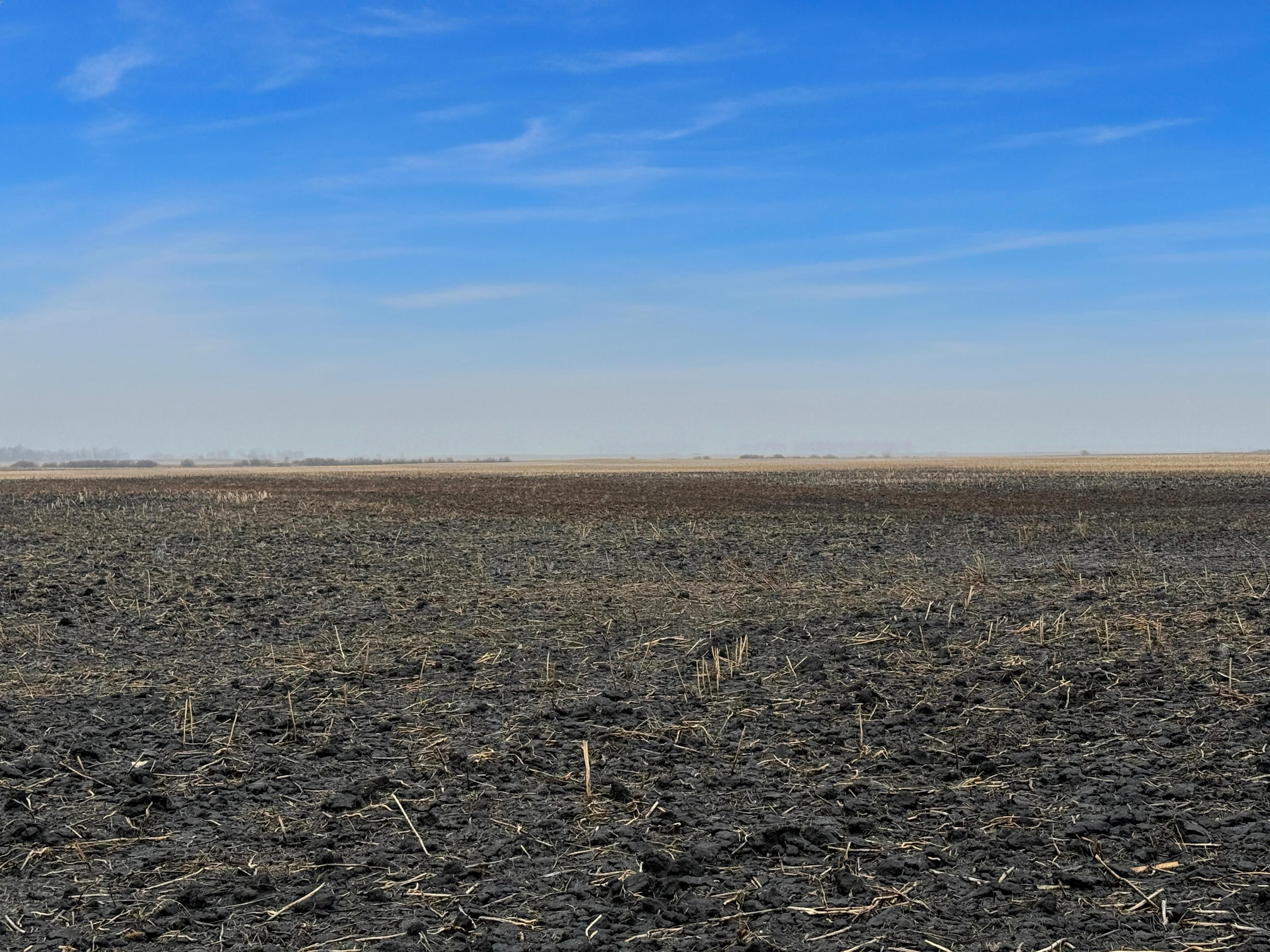 80 acres in Bottineau, ND, 58318 LandWatch