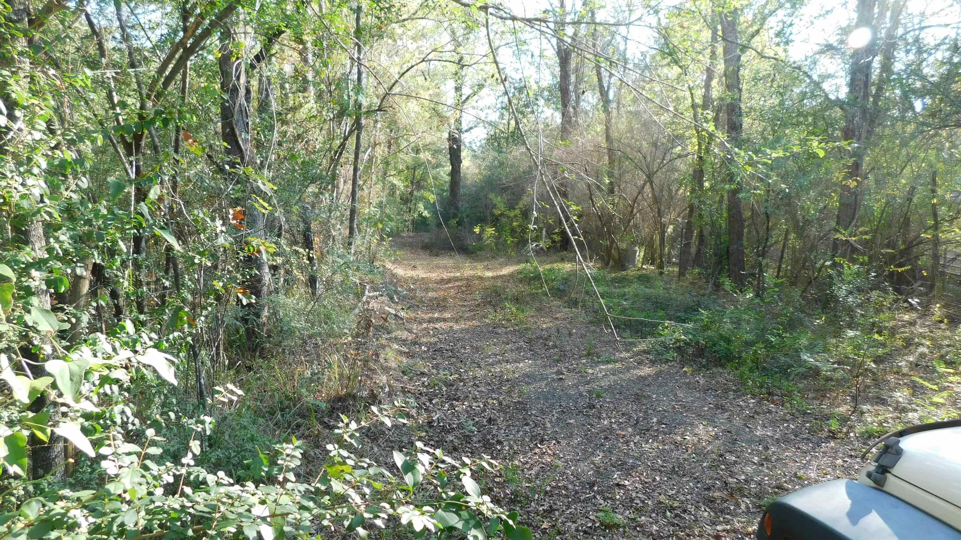 138 Cole Dr, Bronson, TX 75930 MLS 208981 LandWatch