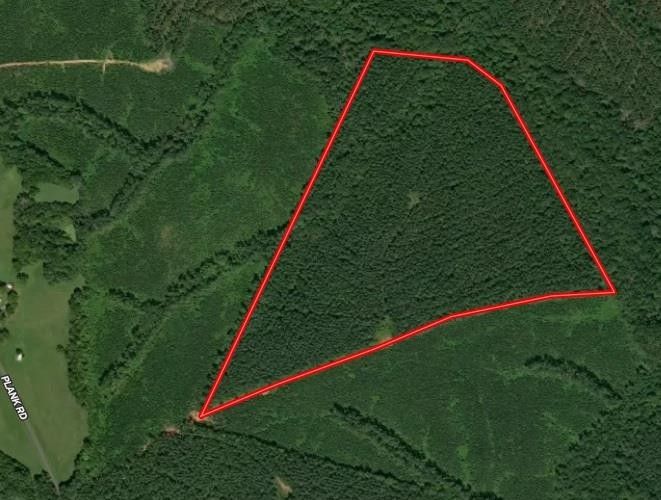 71 Acs Plank Road, Kenbridge, VA 23944 MLS 69100 LandWatch