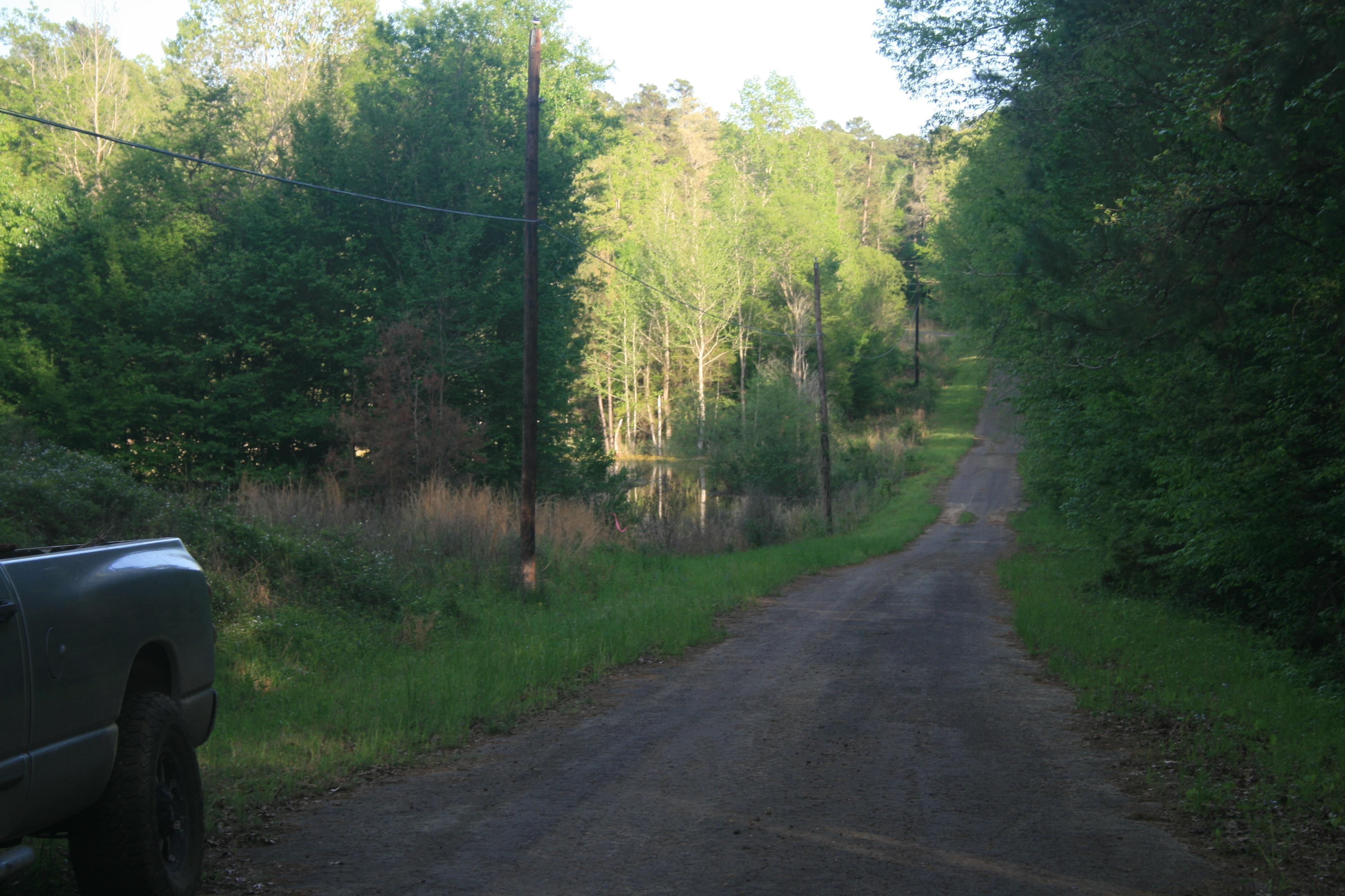 Avinger, Cass County, TX Undeveloped Land for sale Property ID
