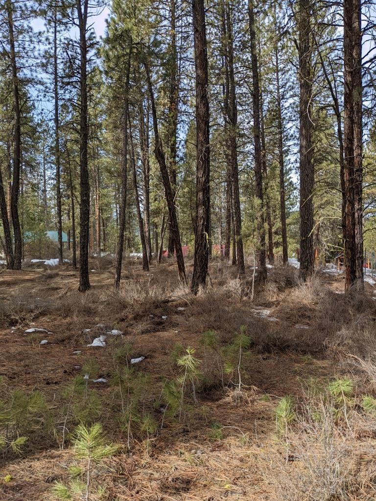 LOT 15 View Drive, Centerville, ID 83631 MLS 541008 LandWatch