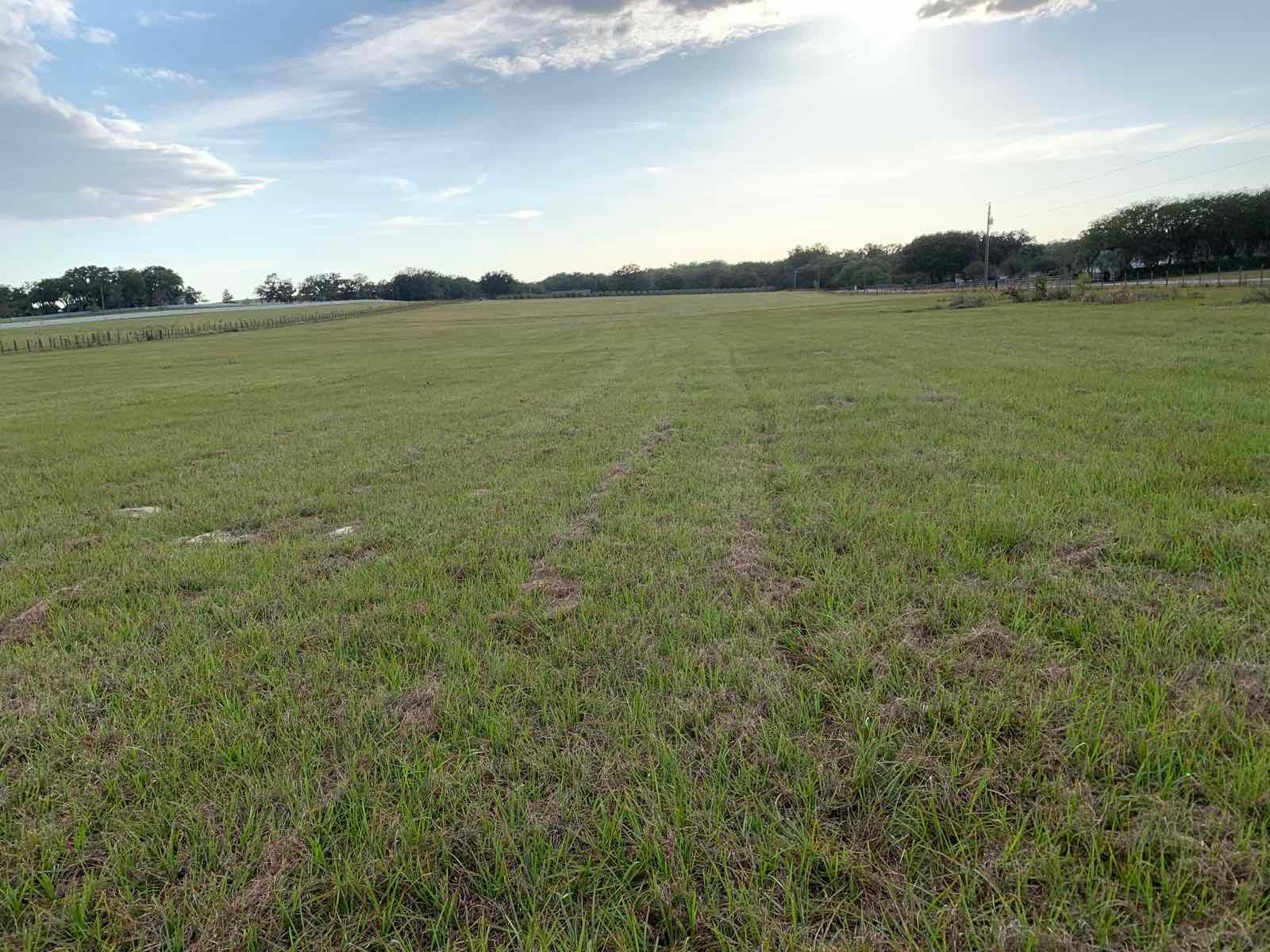 Dade City, Pasco County, FL Farms and Ranches for sale Property ID