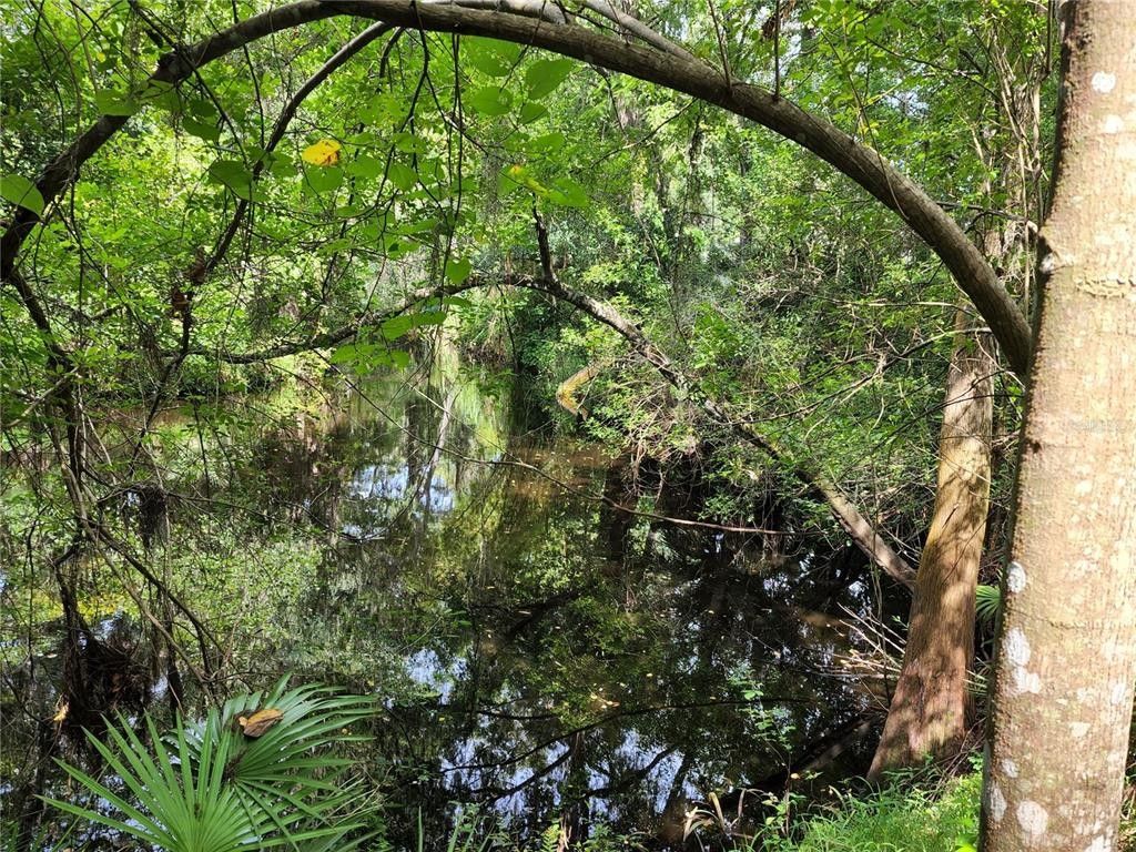 New Port Richey, Pasco County, FL Lakefront Property, Waterfront