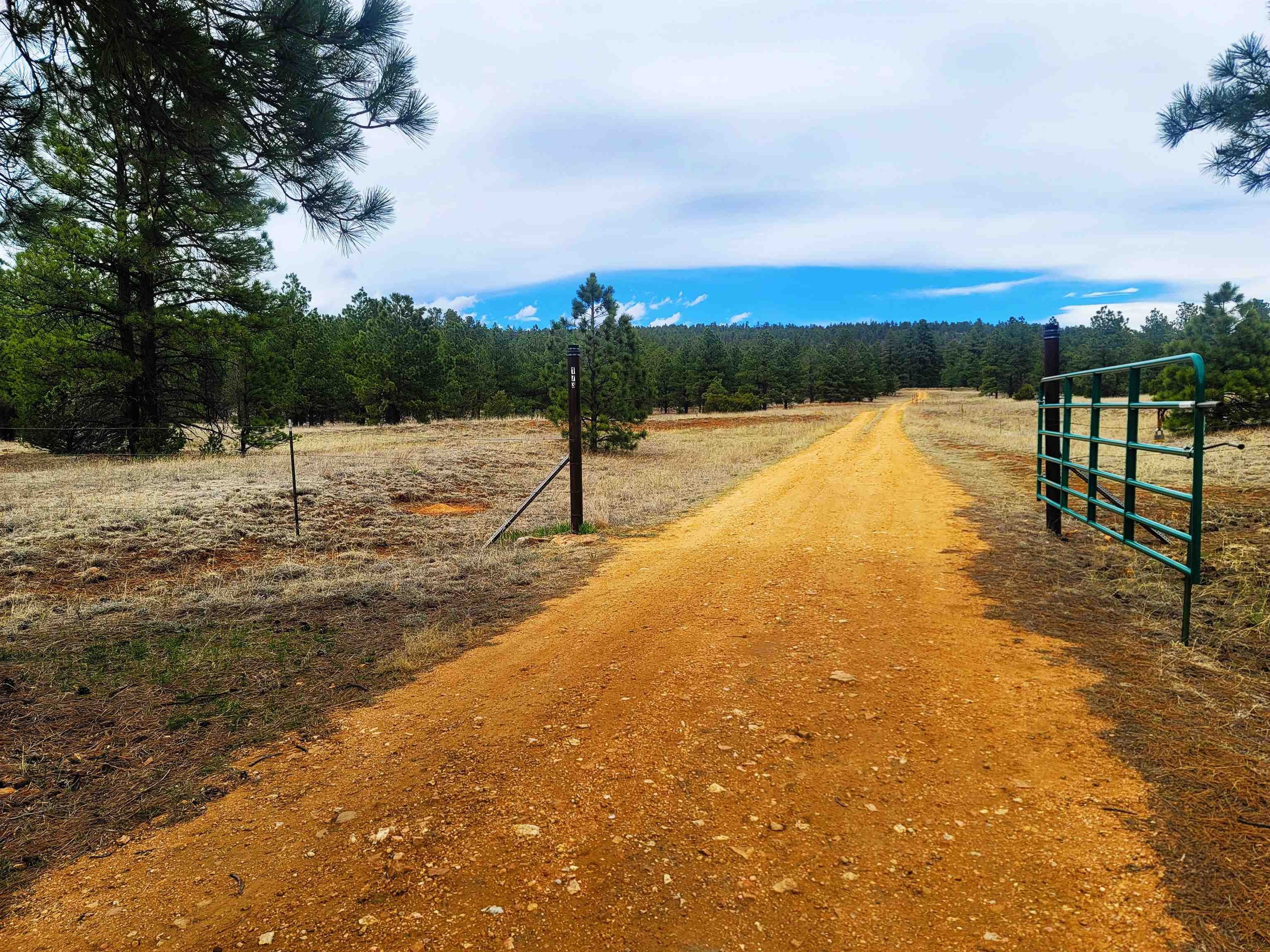 Lot C La Rama R Buena Vista, Mora, NM 87712 MLS 111653 LandWatch