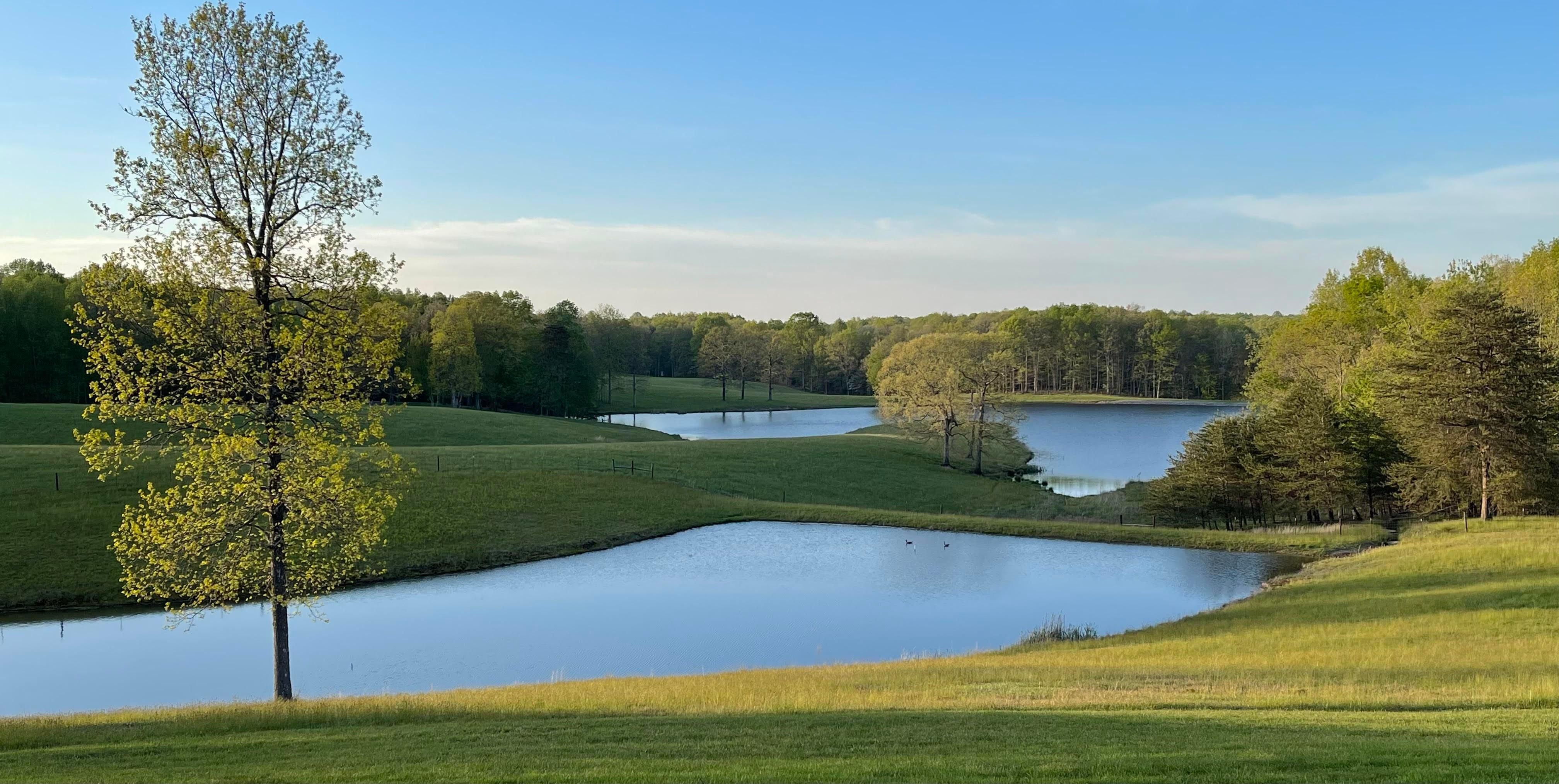 215 Stagecoach Road, Sewanee, TN 37375 MLS 2623421 LandWatch