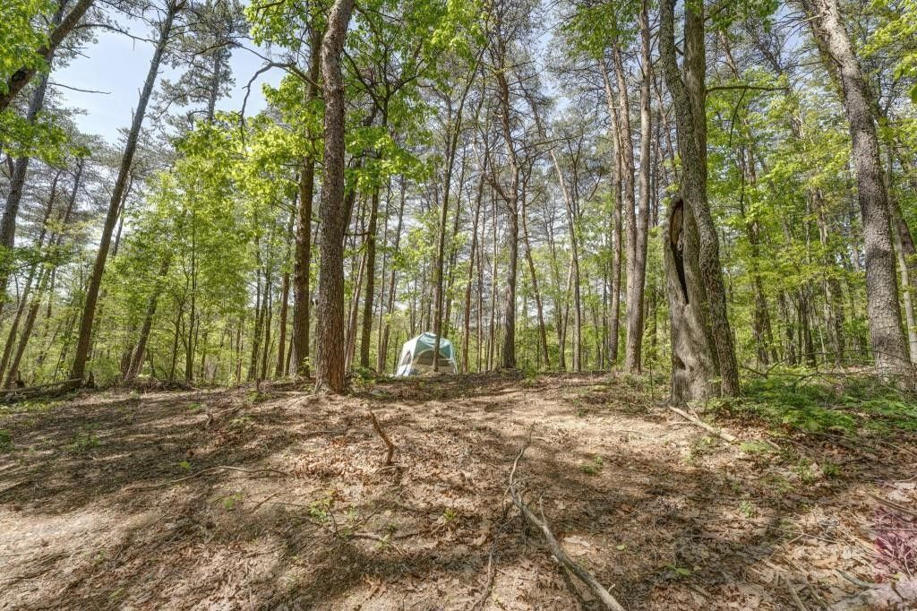 10483 Hwy 53 SE, Fairmount, GA 30139 MLS 7378969 LandWatch