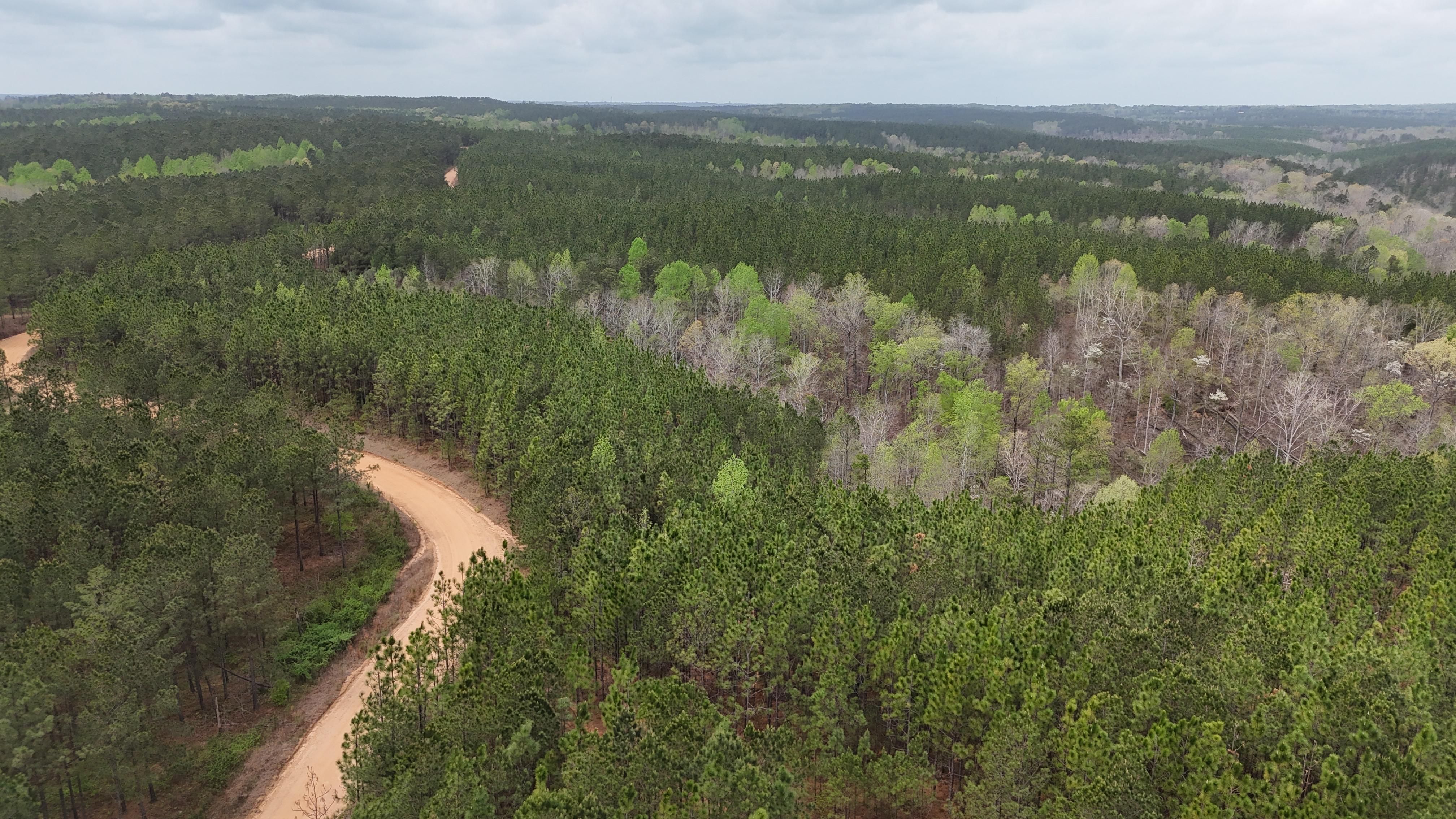 Verbena, Chilton County, AL Recreational Property, Timberland Property