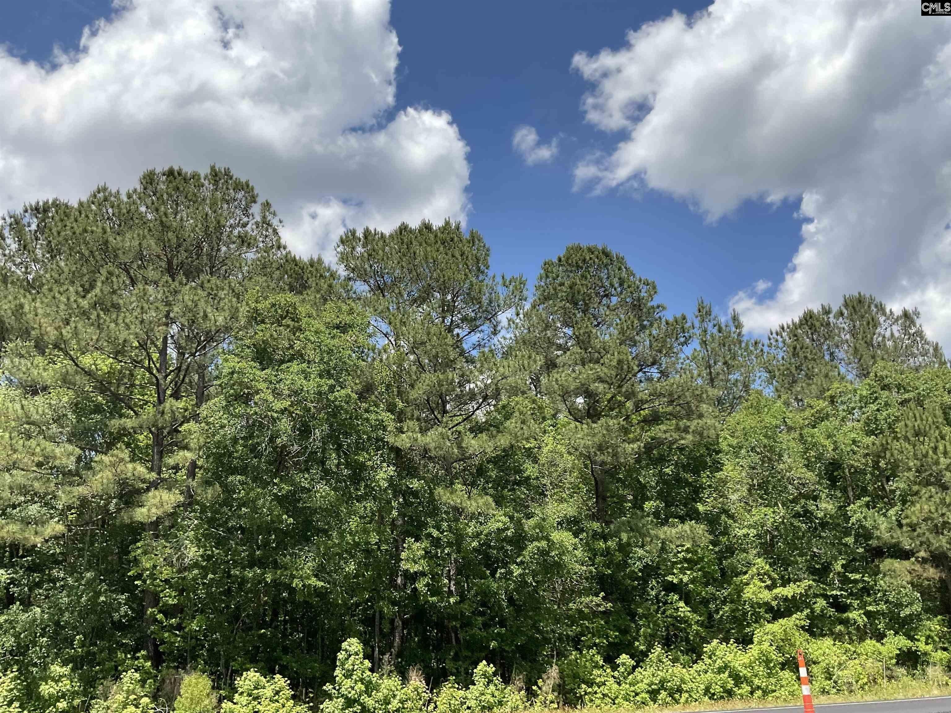 Bamberg, Bamberg County, SC Undeveloped Land for sale Property ID