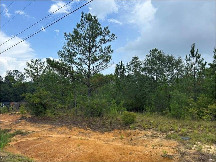 Picayune, Hancock County, MS Undeveloped Land, Homesites for sale